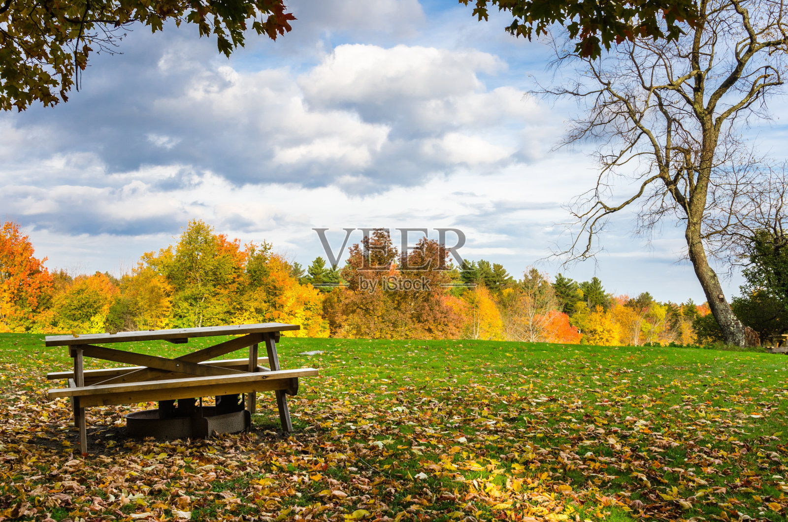 空旷的野餐区在秋天和多云的天空照片摄影图片