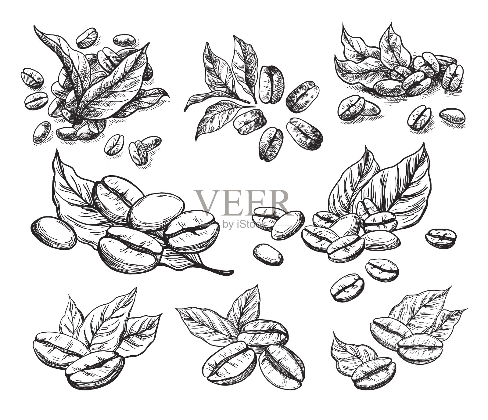 咖啡颗粒和树叶插画图片素材