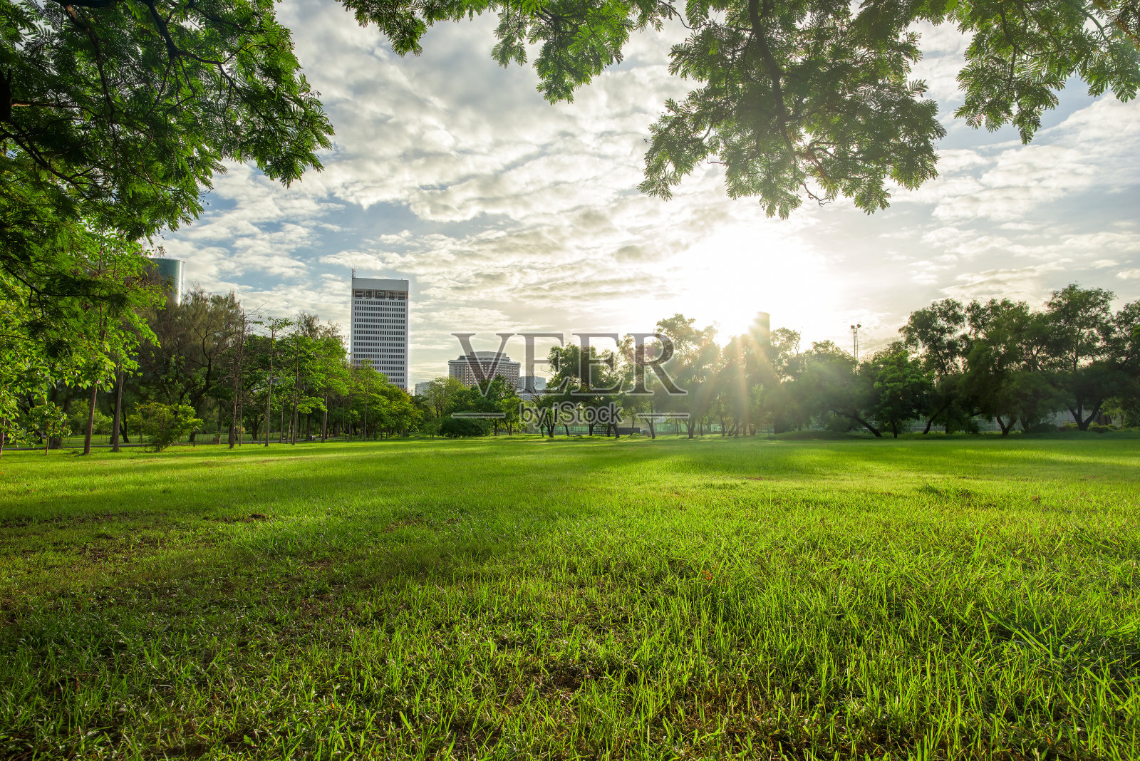 在城市中心的公园里有绿色的草地，早晨阳光明媚照片摄影图片