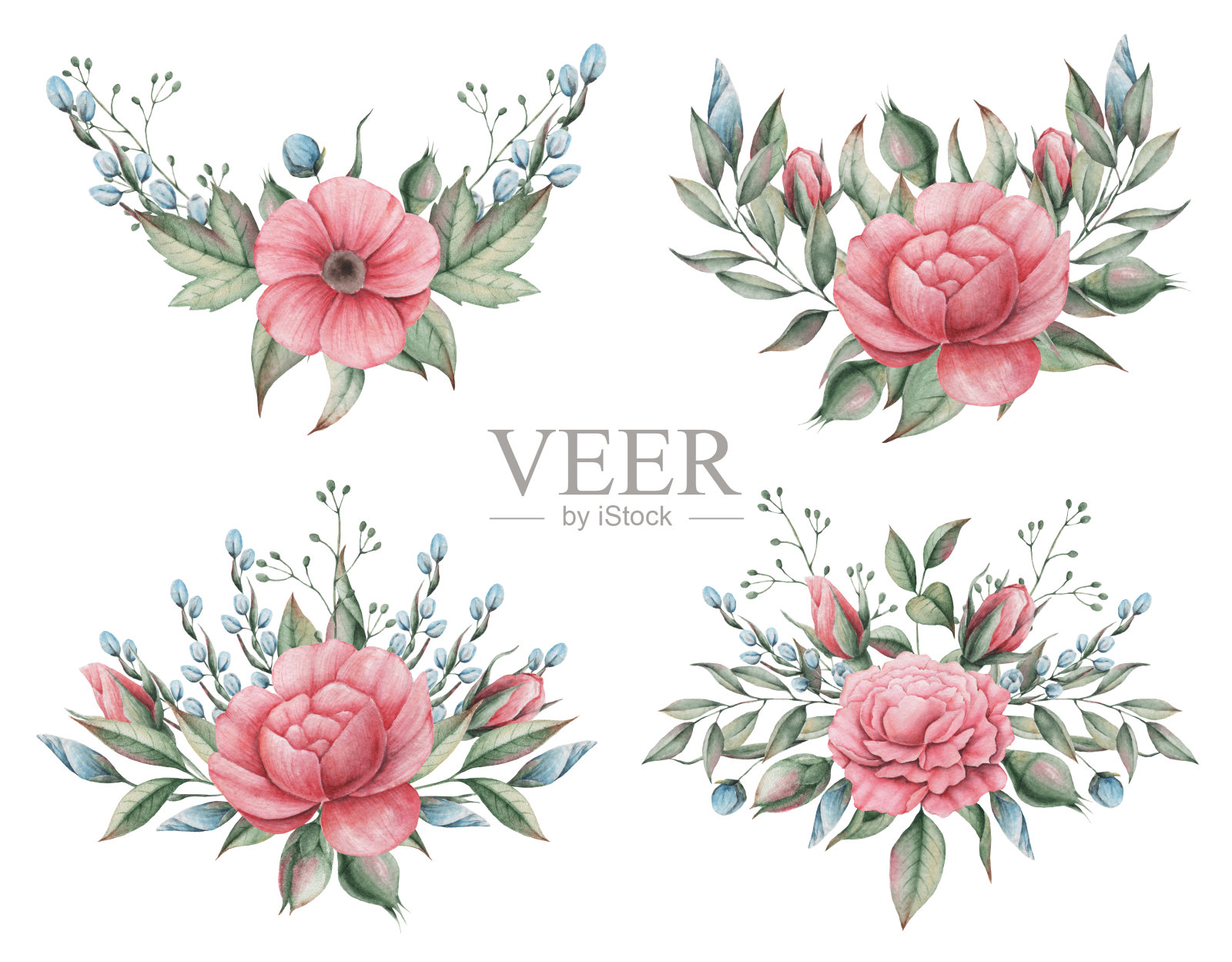 手绘水彩迷人的花和叶的组合，孤立在白色的背景插画图片素材
