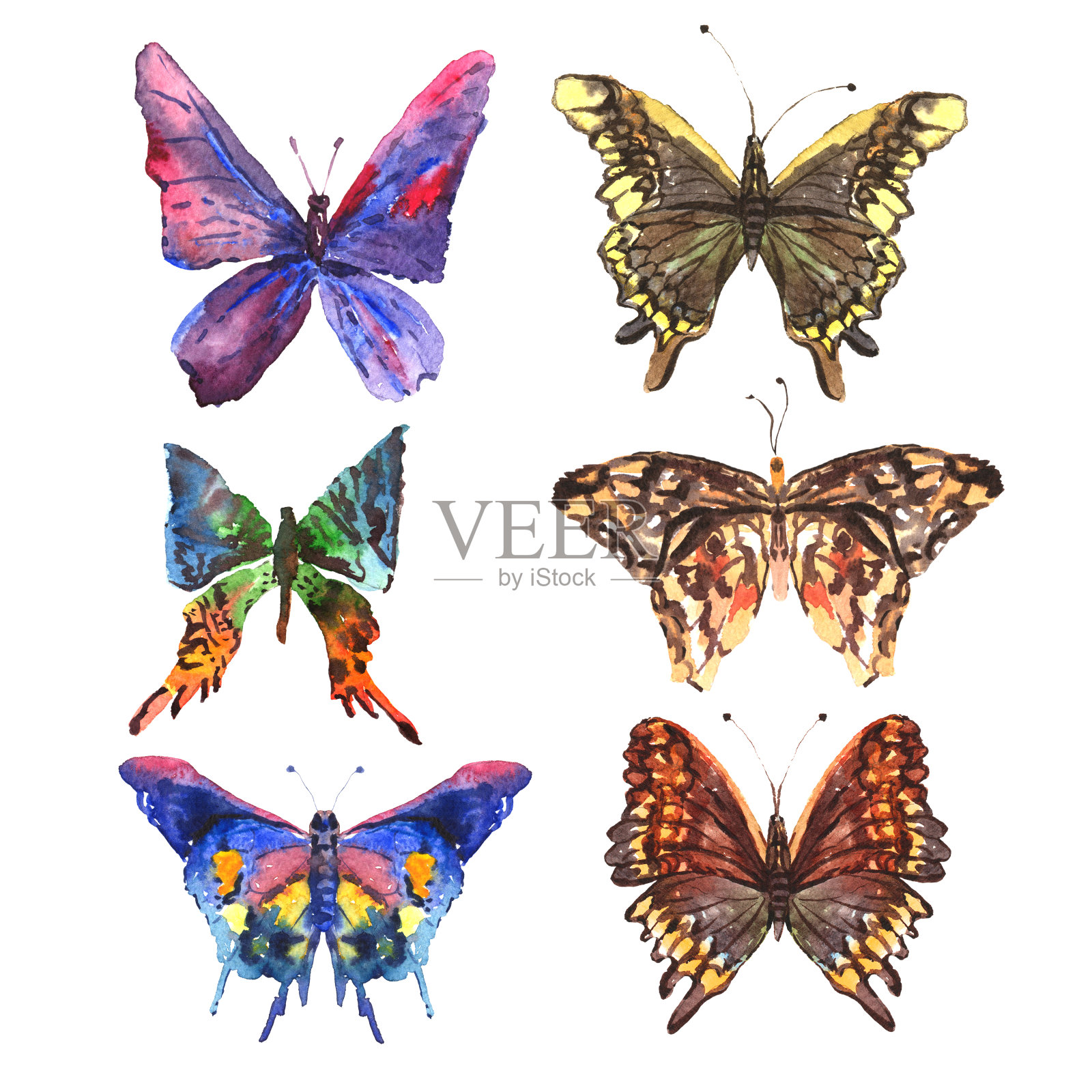 一套美丽的抽象彩色夏季水彩蝴蝶设计元素图片