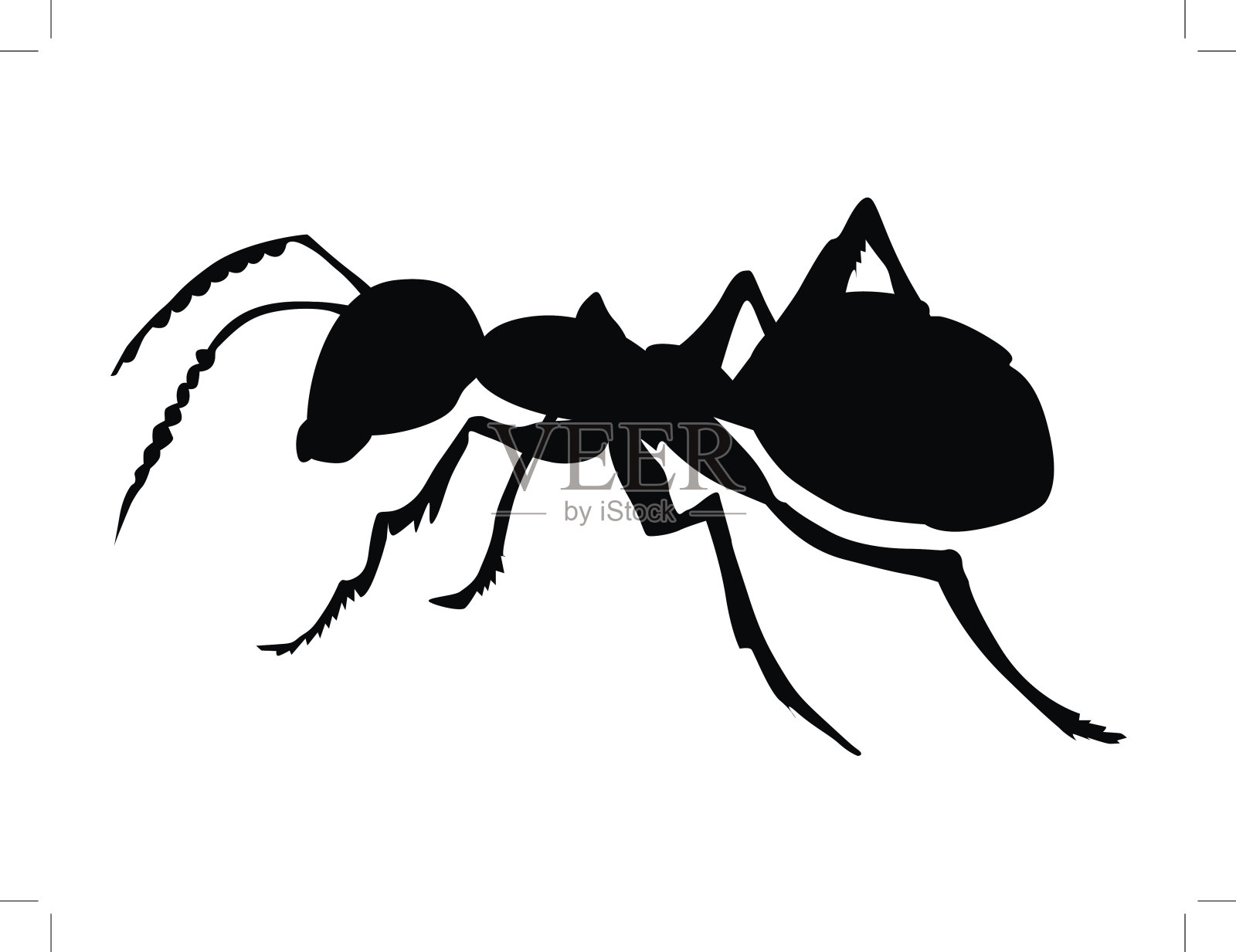 普通的蚂蚁设计元素图片