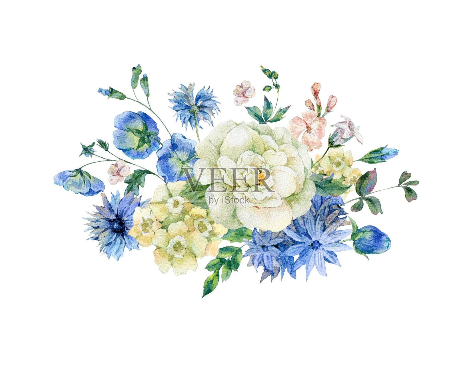 水彩花束与蓝色盛开的野花插画图片素材