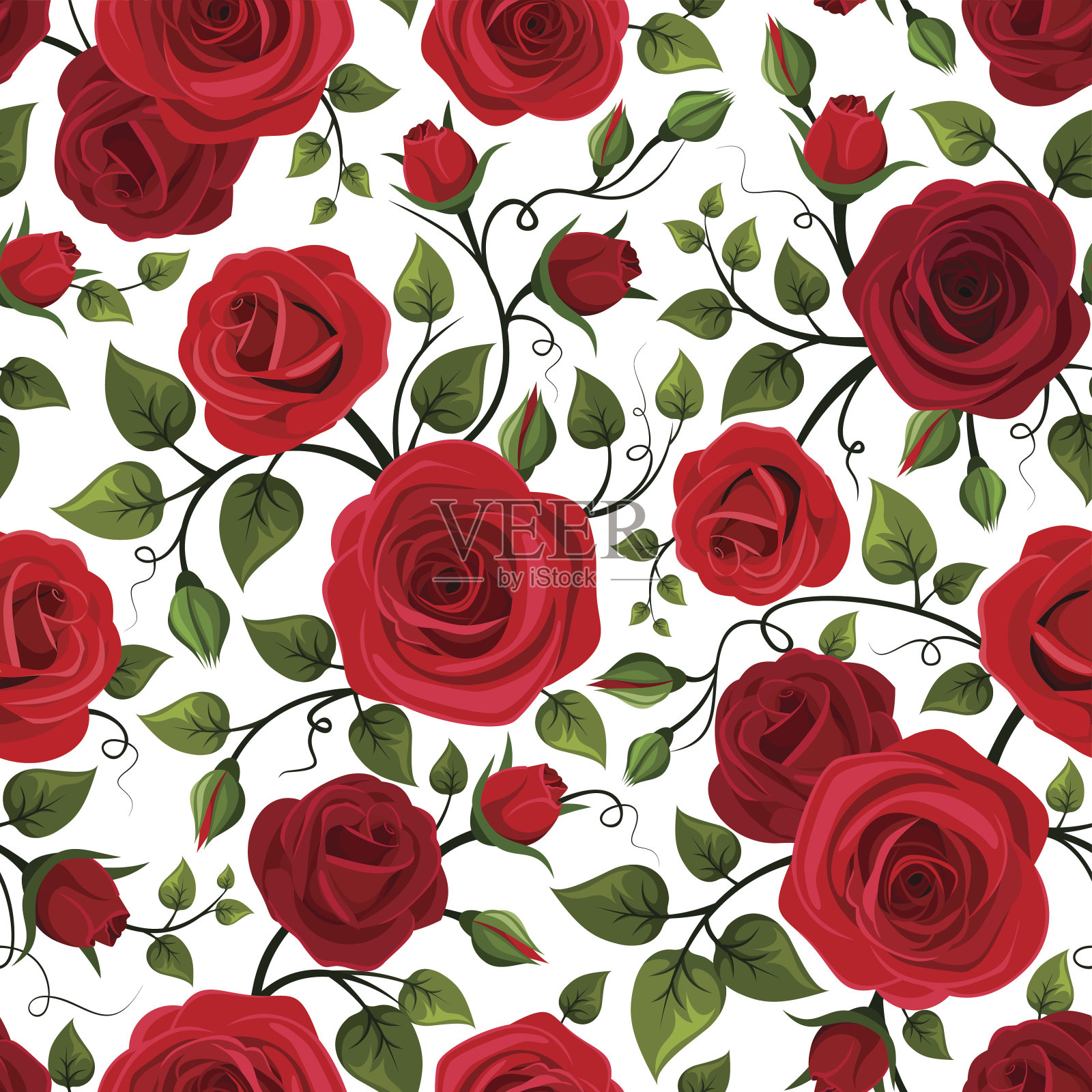 无缝图案与红玫瑰。矢量插图。插画图片素材