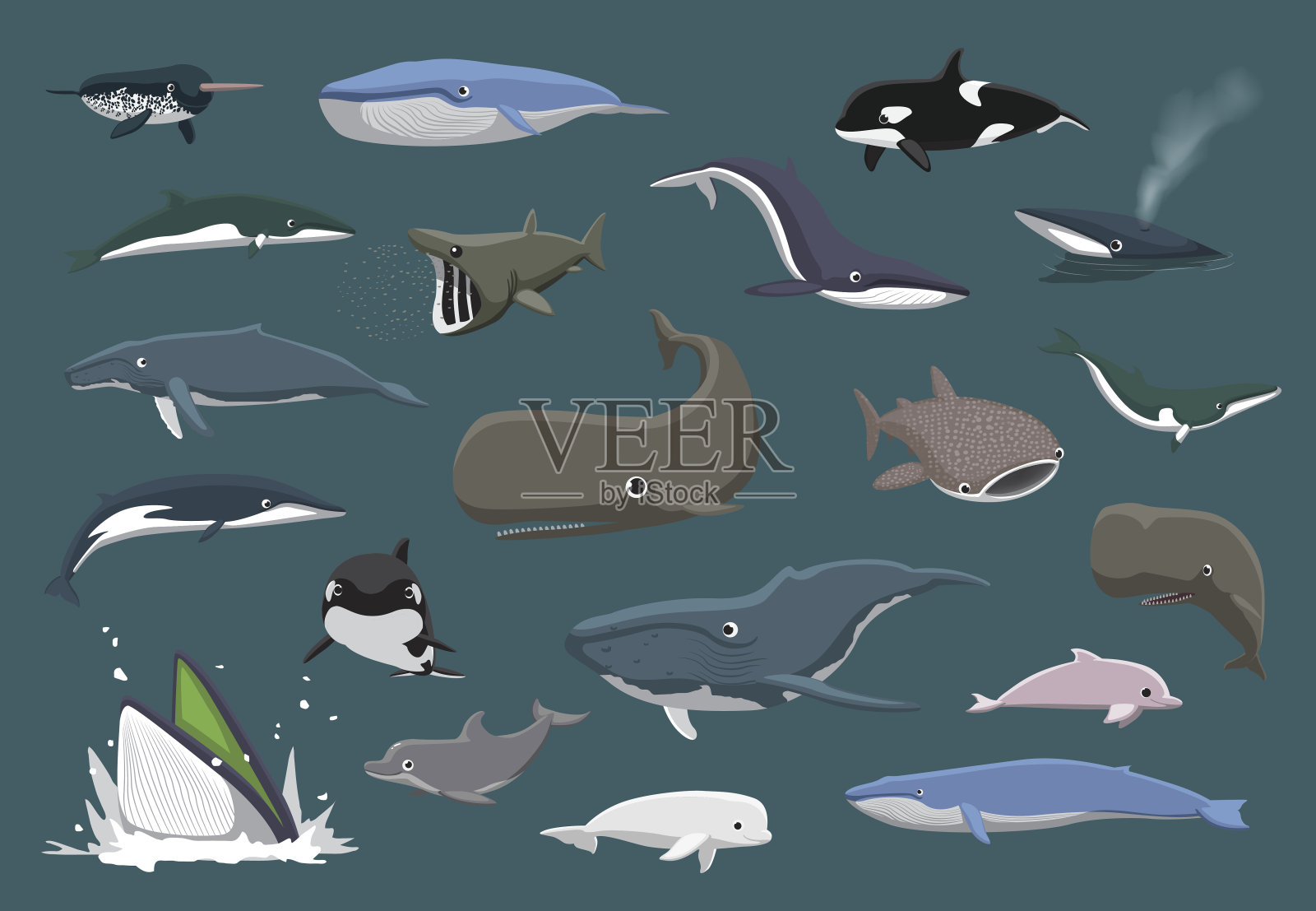 各种鲸鱼设置卡通矢量插图设计元素图片