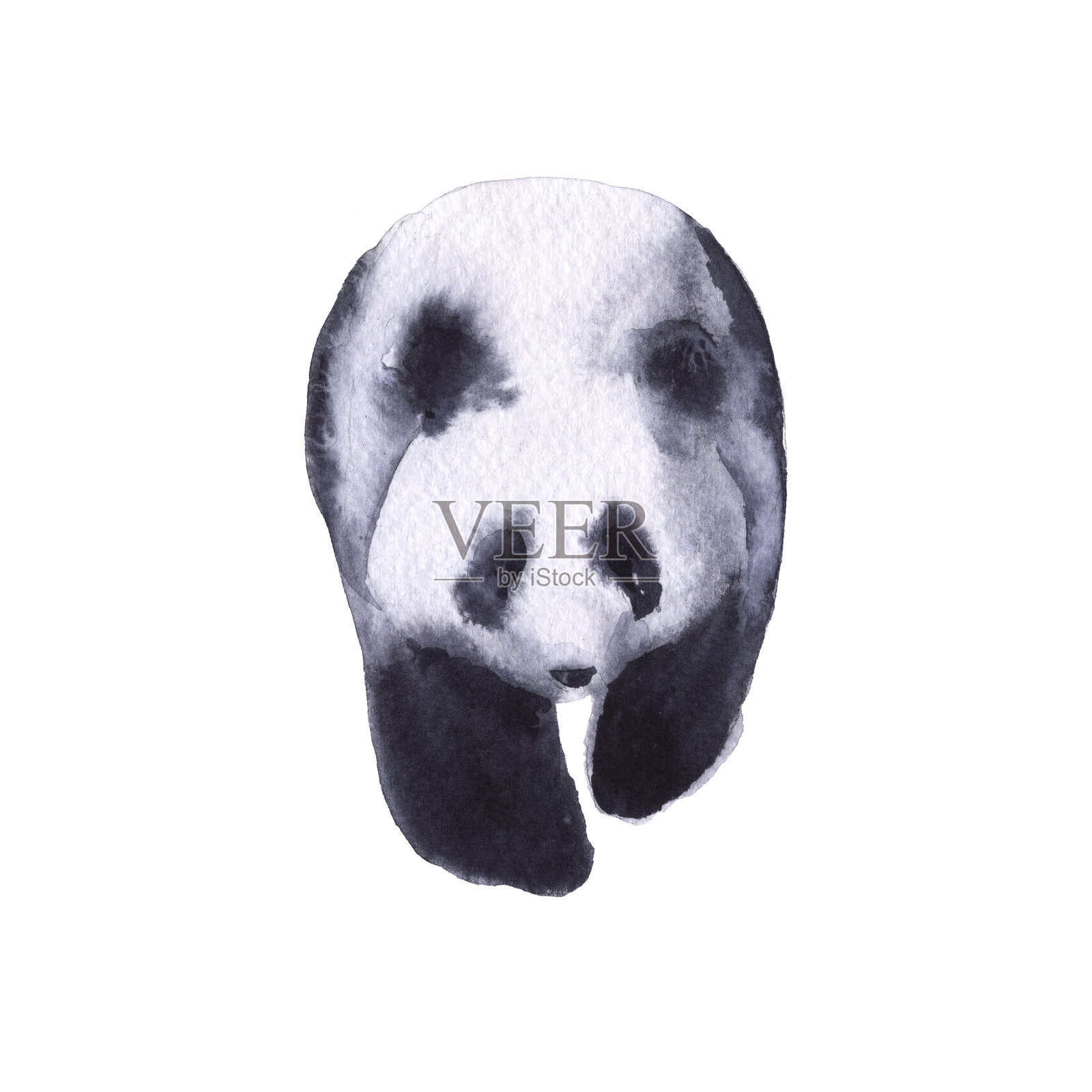熊猫。孤立在白色背景上。插画图片素材