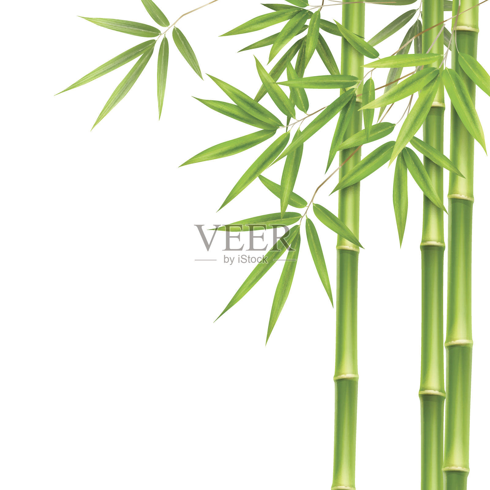 绿色竹茎设计元素图片