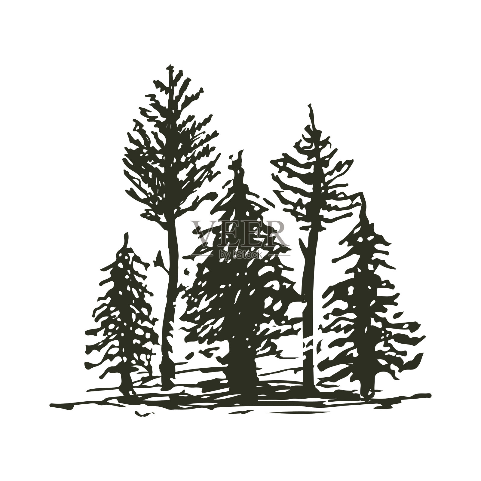 树户外旅行黑色剪影针叶自然徽章，顶部松树云杉枝雪松和植物叶抽象茎画矢量插图插画图片素材