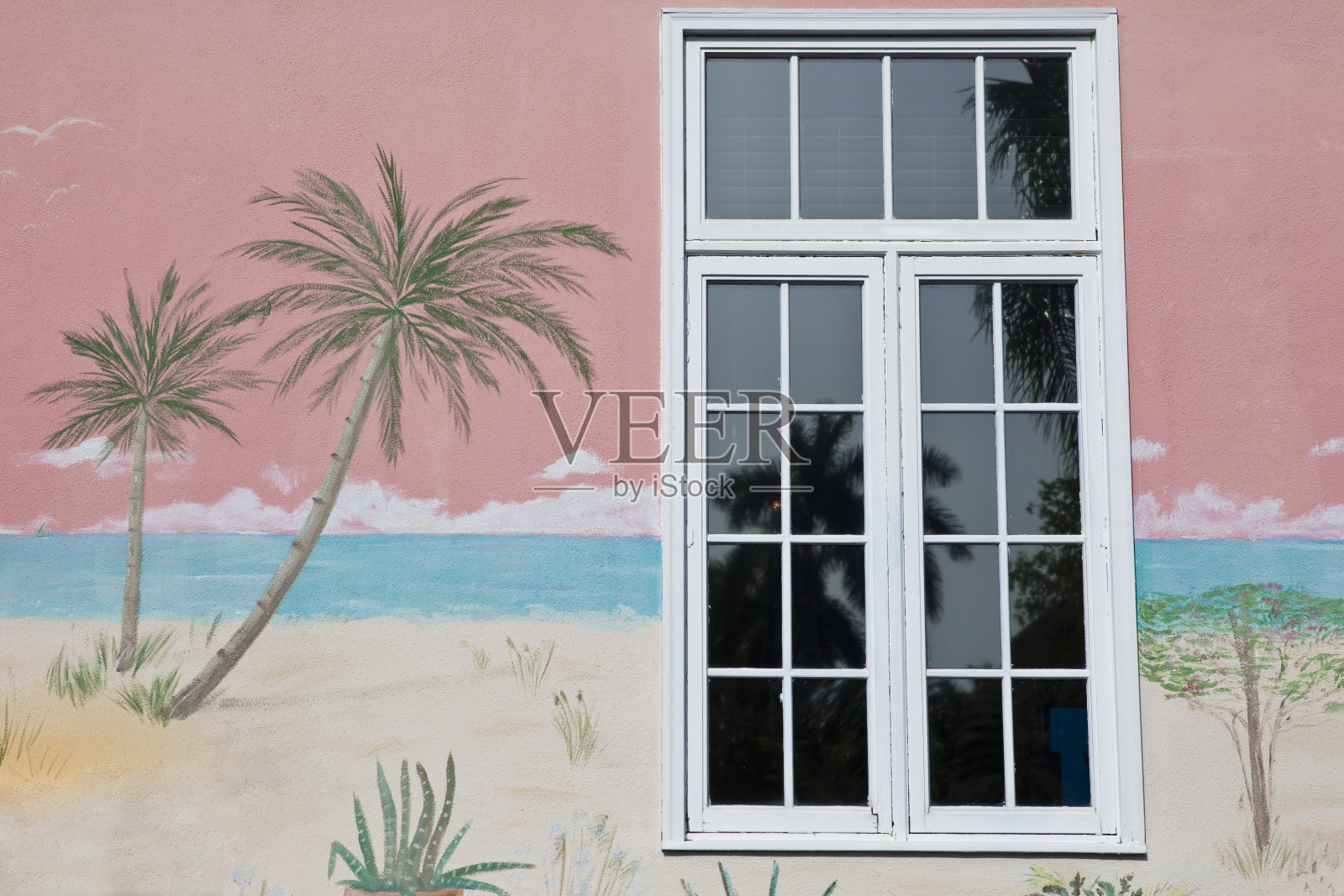 墙上有棕榈树壁画的窗户照片摄影图片