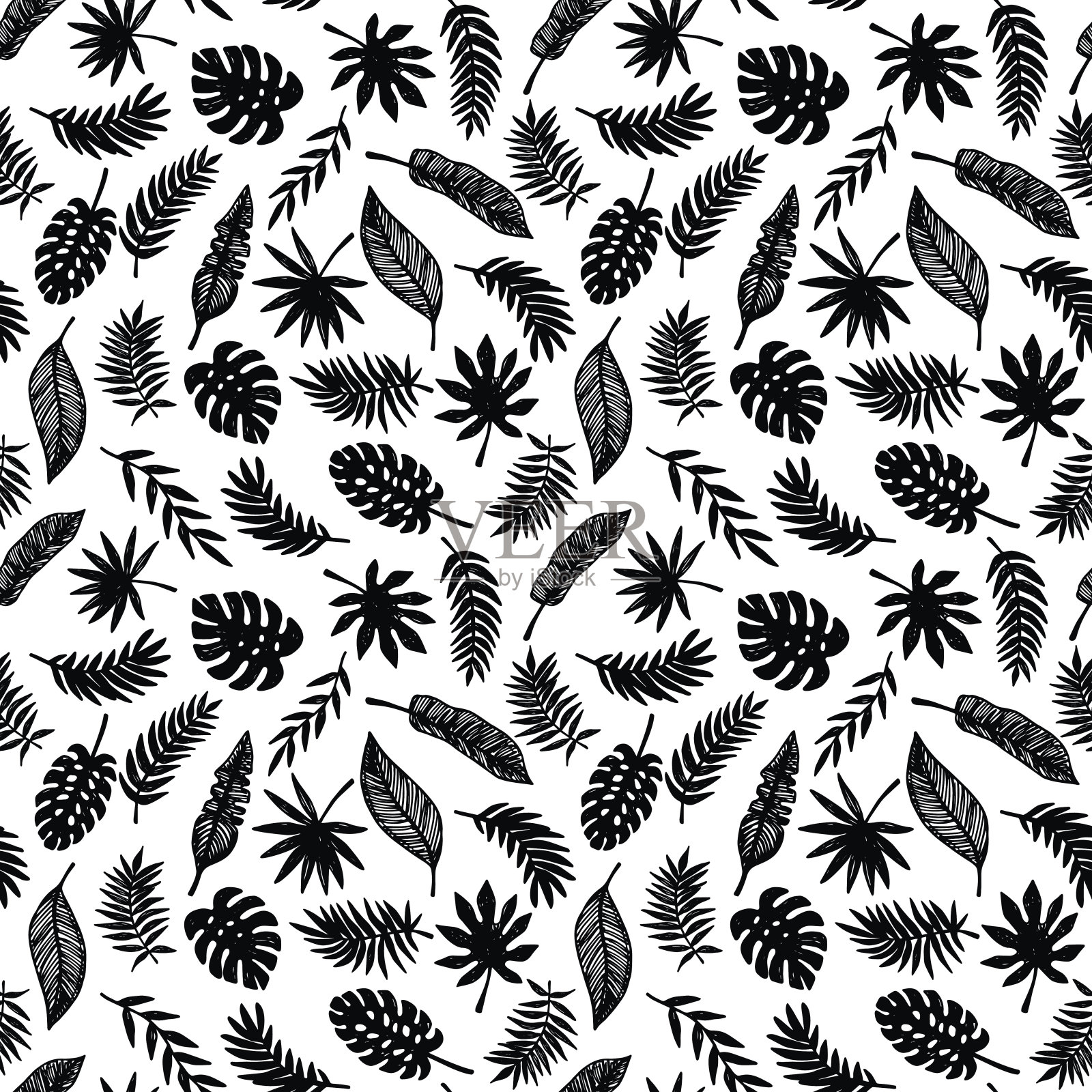 热带叶无缝图案，现代手绘自然叶，黑上白插画图片素材