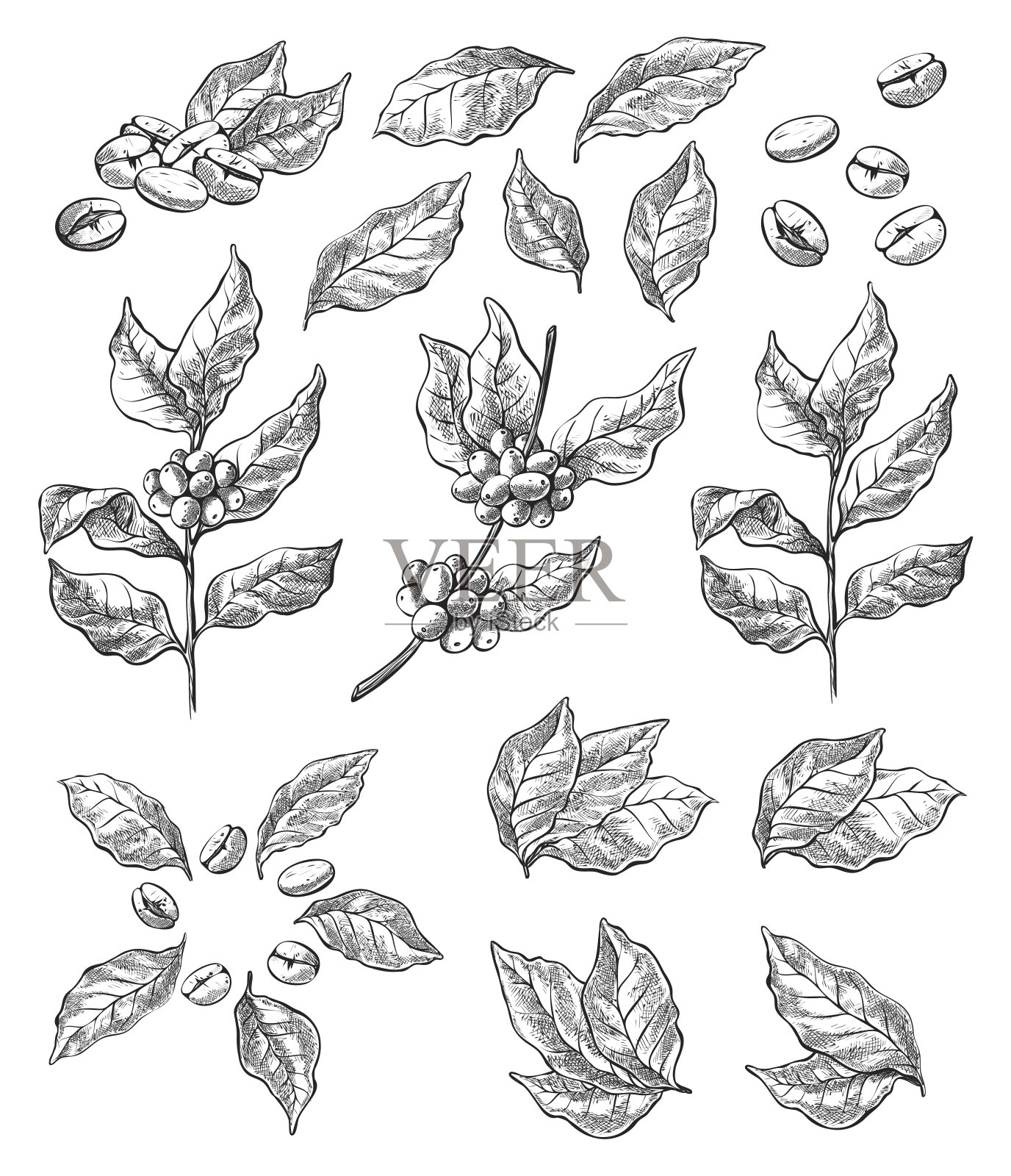 用咖啡豆和浆果做成的花环插画图片素材