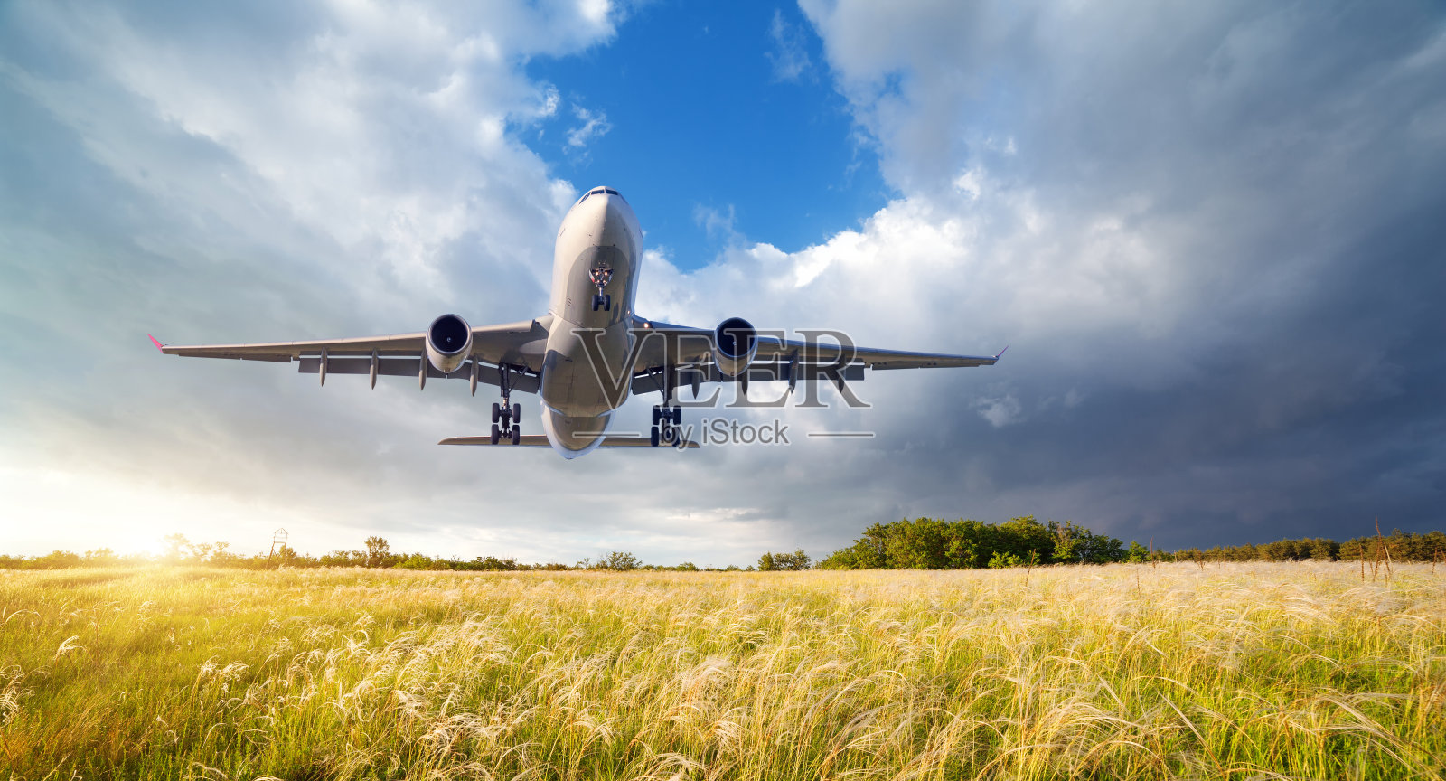 飞机。一架巨大的白色客机在夏季彩色日落的黄色草地上的蓝天上飞行。客机正在降落。商务旅行。商用飞机照片摄影图片