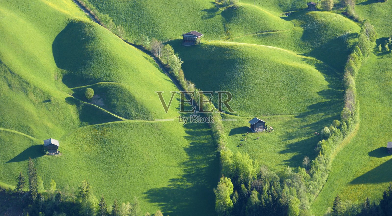 一片绿色的山地草地的全景照片摄影图片