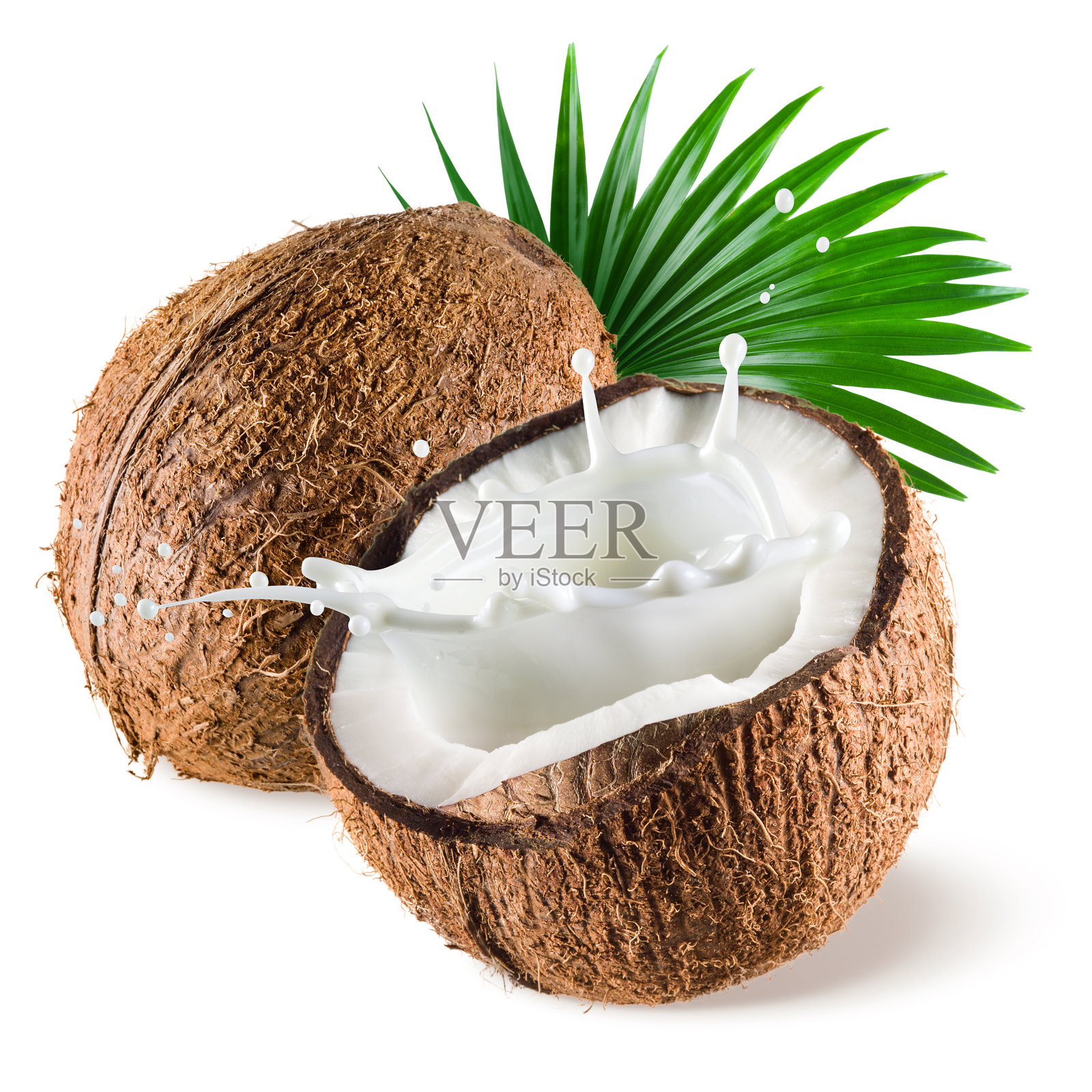 白色背景上有牛奶和树叶的椰子照片摄影图片