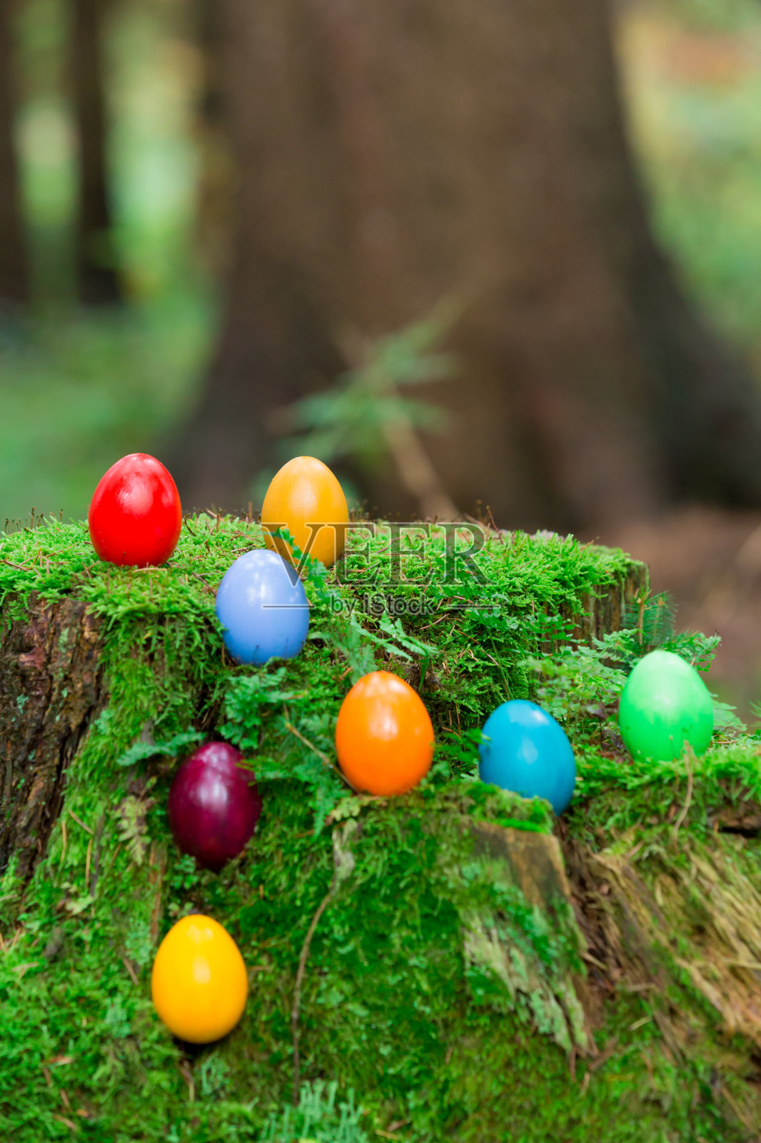 树干复活节彩蛋照片摄影图片