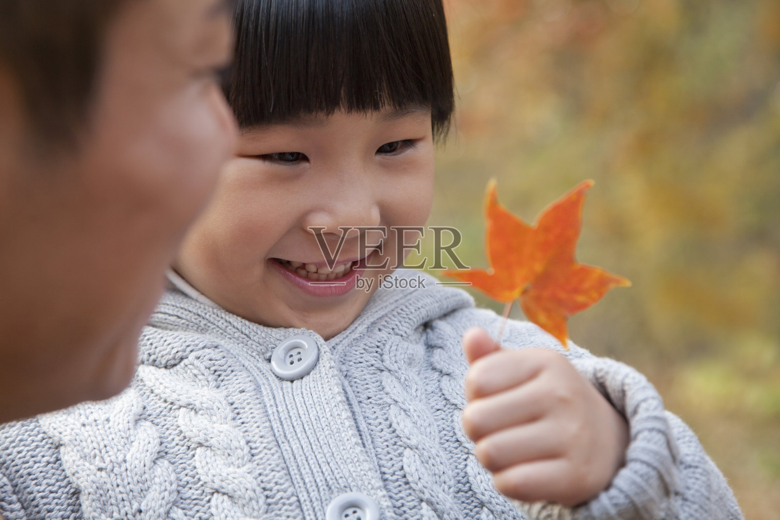 小女孩和爸爸一起看着树叶，特写，秋天照片摄影图片