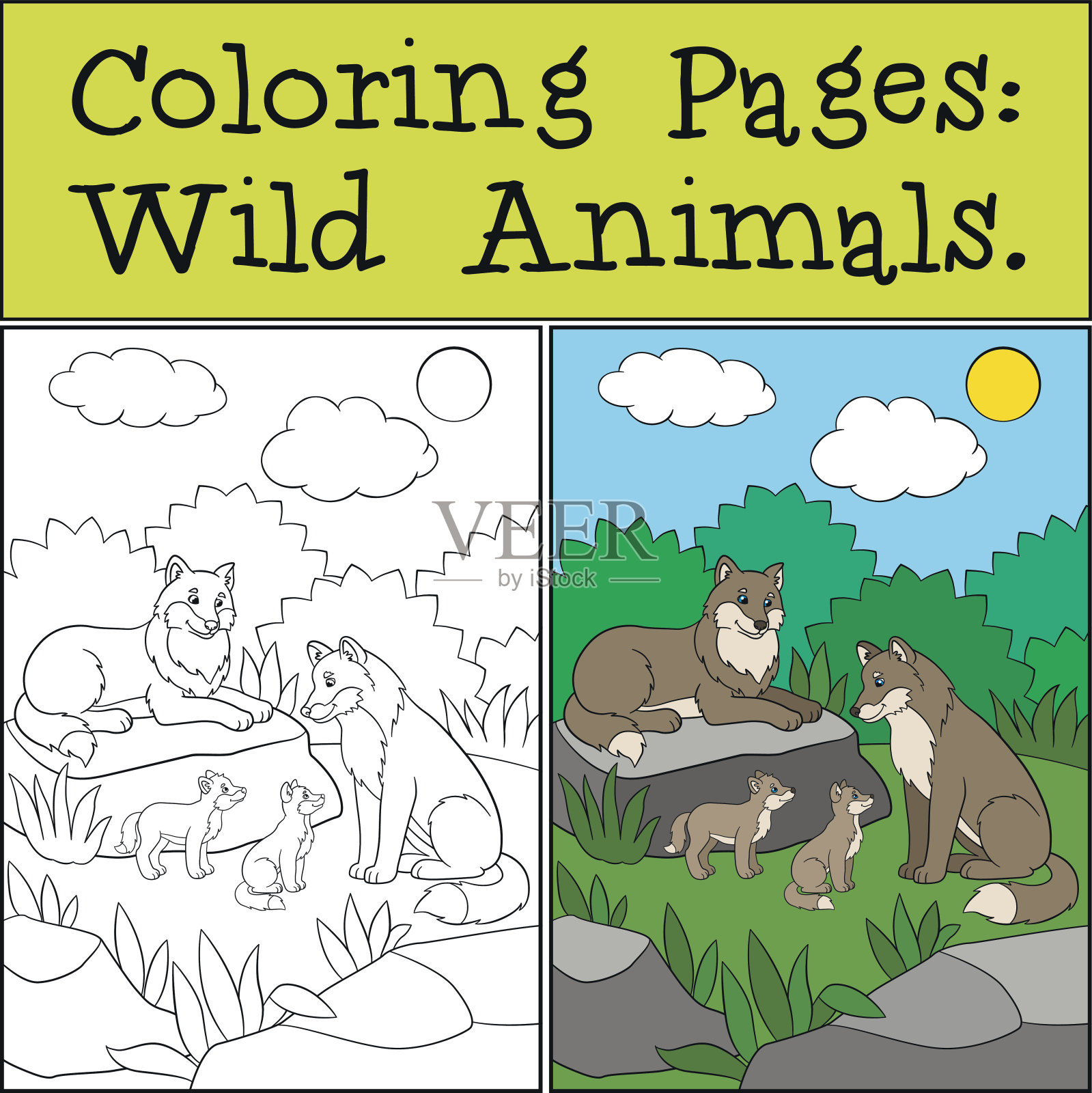 涂色页:野生动物。森林里的狼家族。插画图片素材