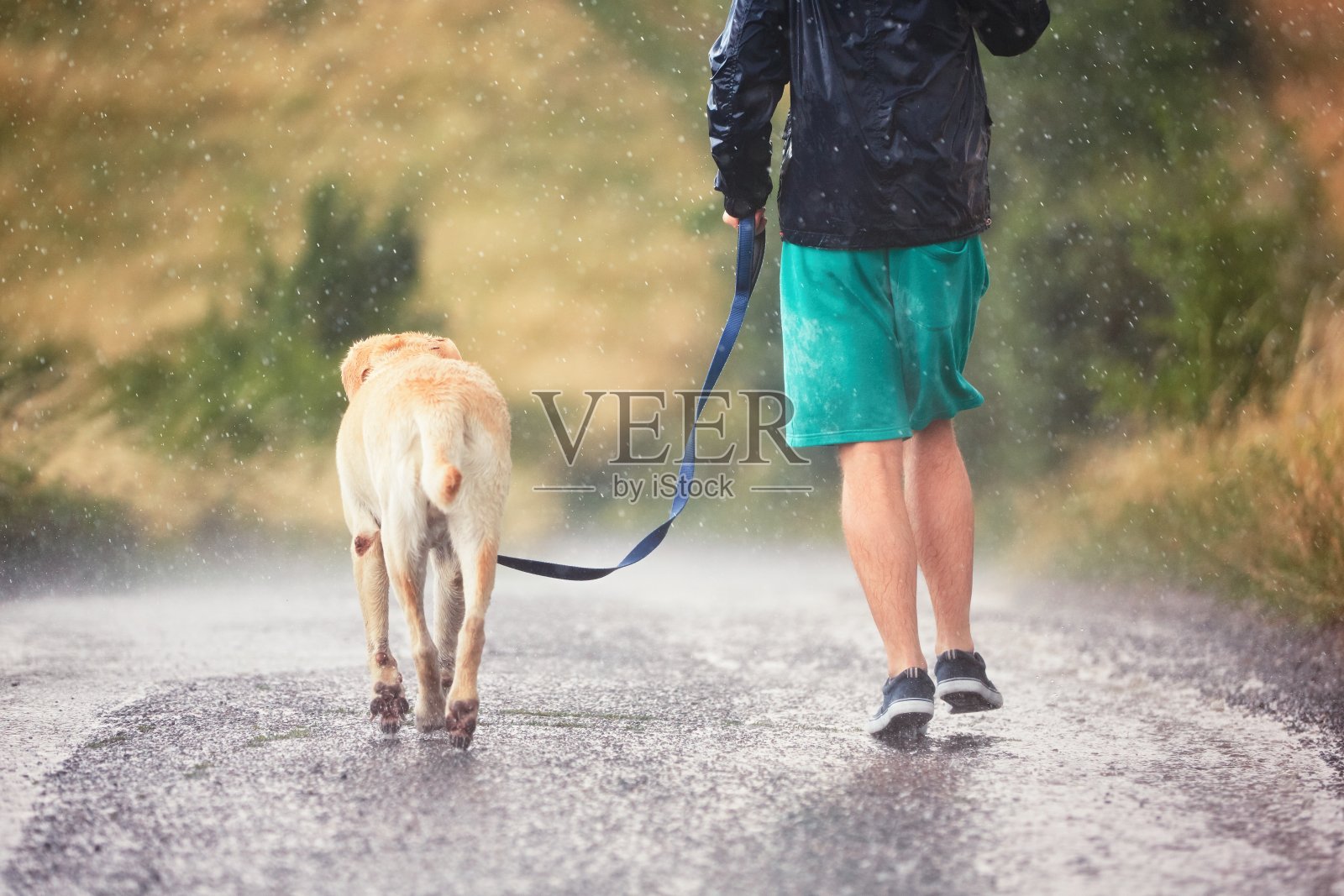 大雨中带着狗的人照片摄影图片