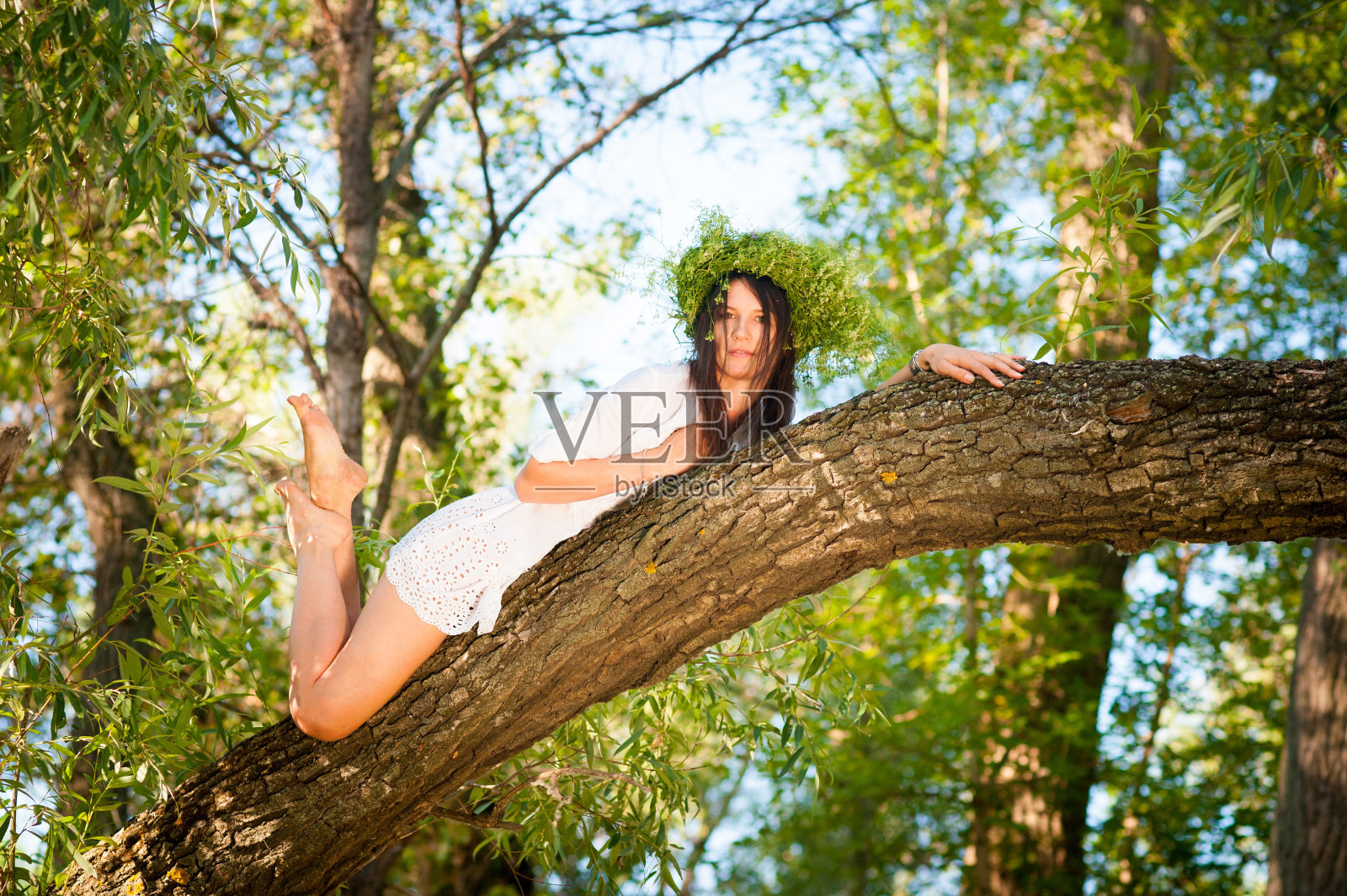 美丽的女人躺在森林的一棵树上照片摄影图片