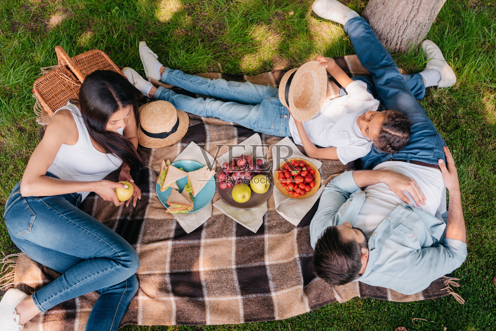 俯瞰家庭花时间在一起野餐照片摄影图片