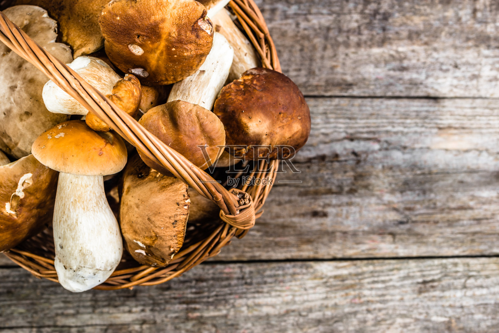 新鲜蘑菇篮，牛肝菌采自森林秋季照片摄影图片