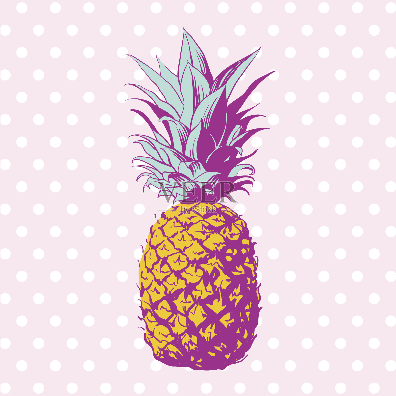 矢量手绘菠萝与虚线背景。插画图片素材