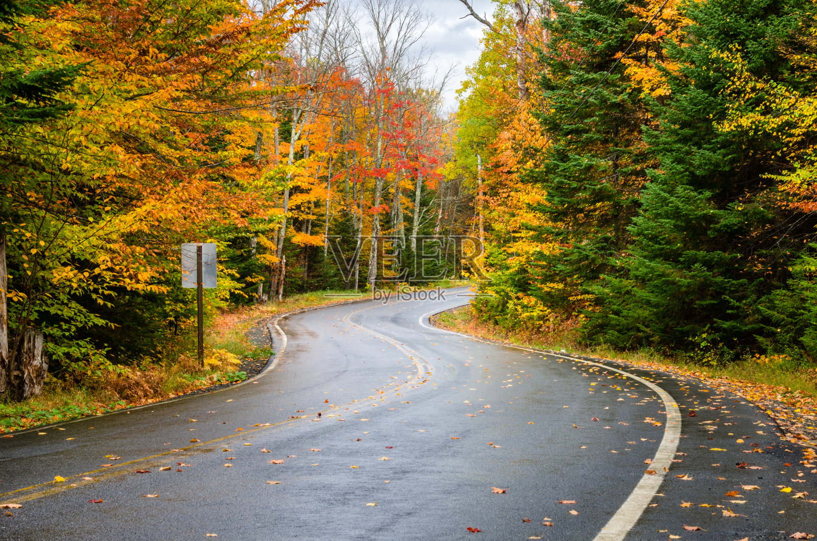 秋天蜿蜒的山路穿过一片森林照片摄影图片