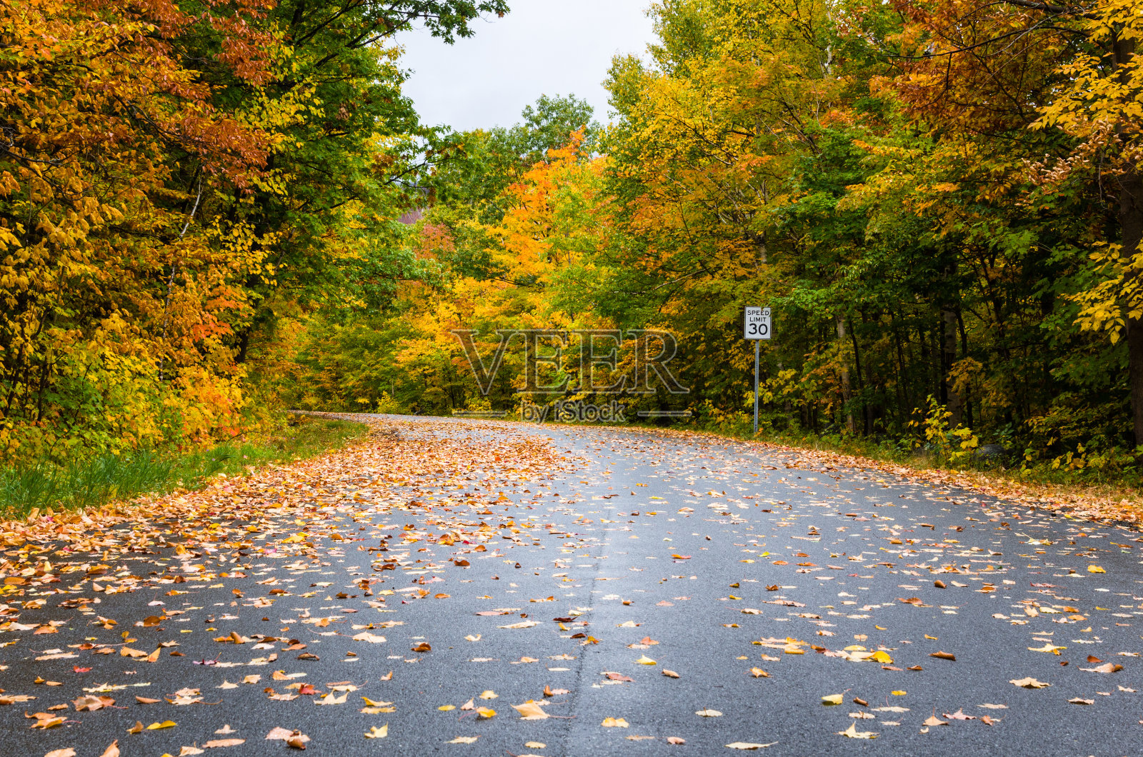 蜿蜒的小路穿过秋天的树林照片摄影图片