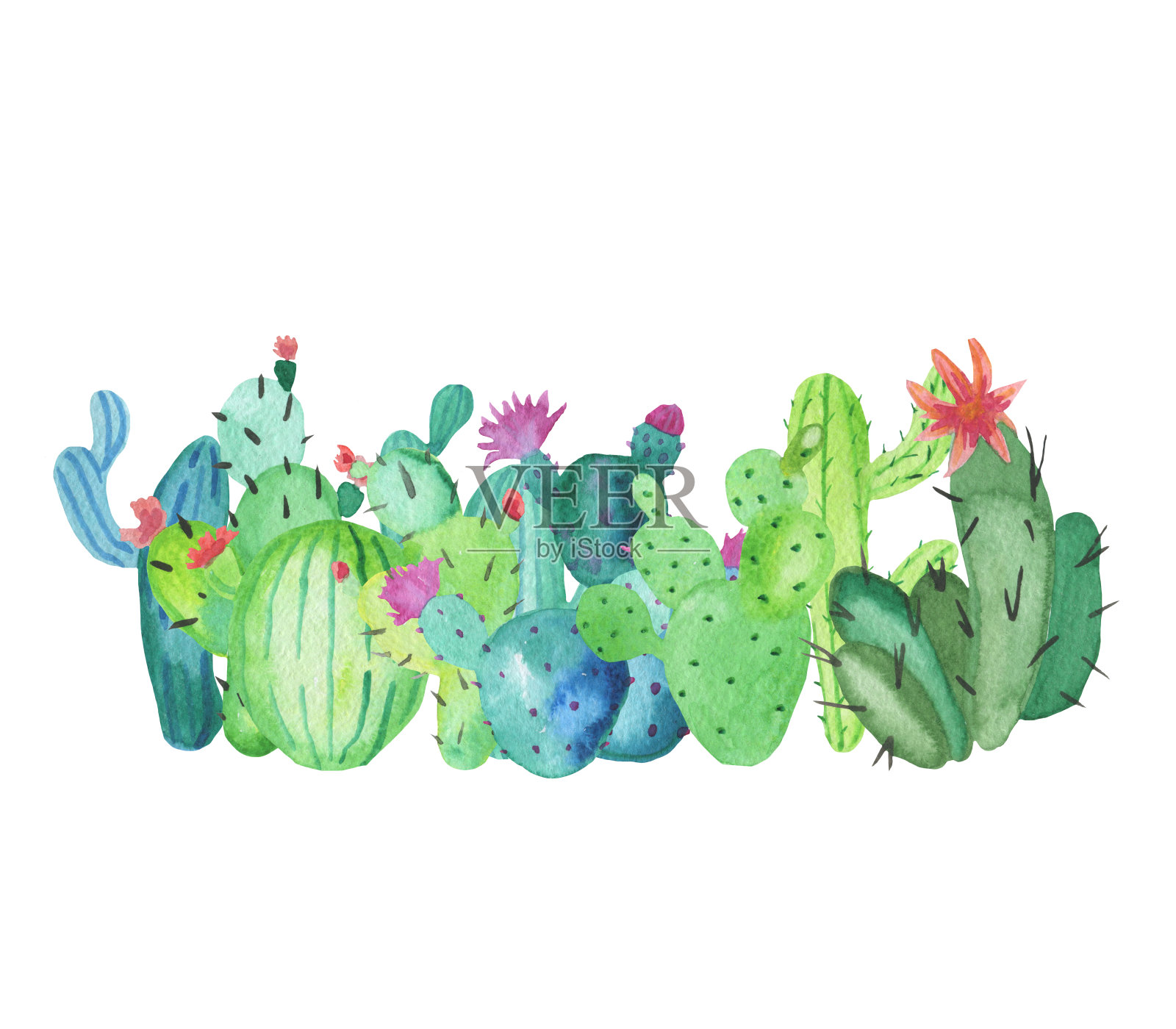框架边框由手绘水彩仙人掌植物制成插画图片素材