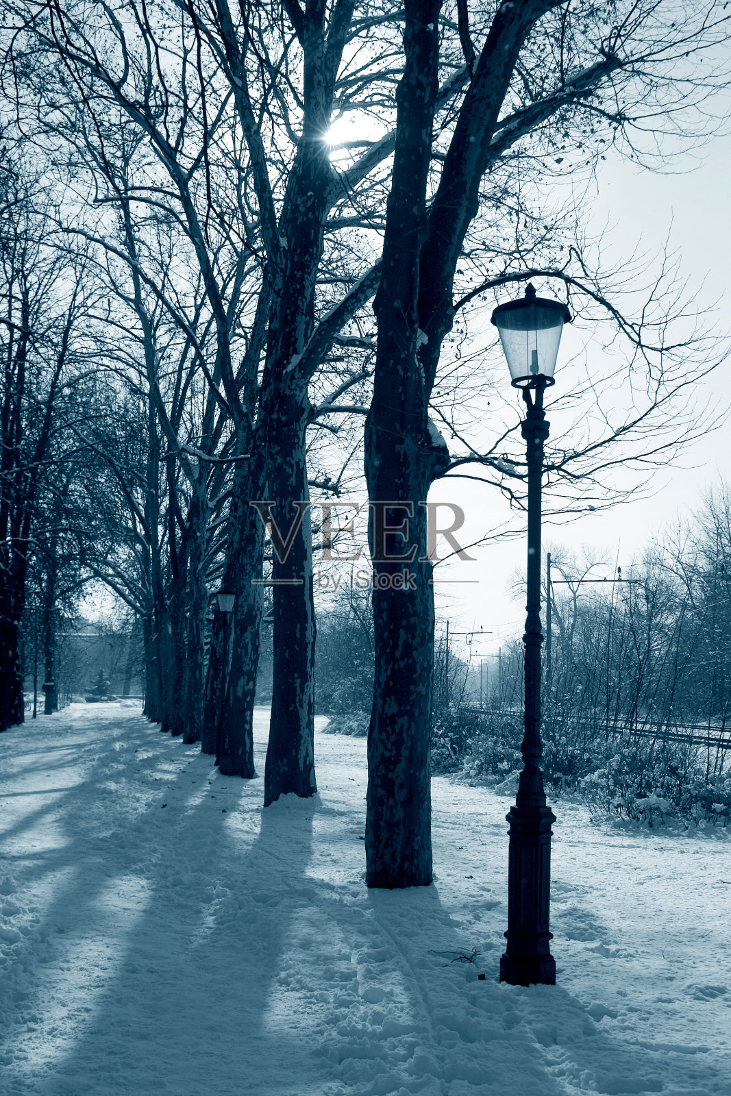 冬天的公园照片摄影图片