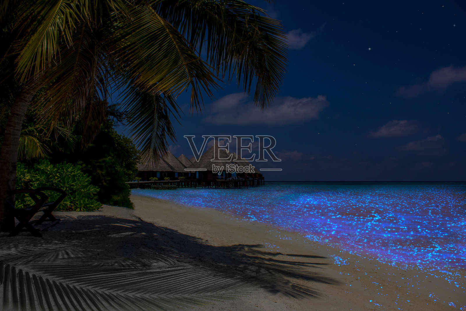 马尔代夫-印度洋的荧光浮游生物照片摄影图片