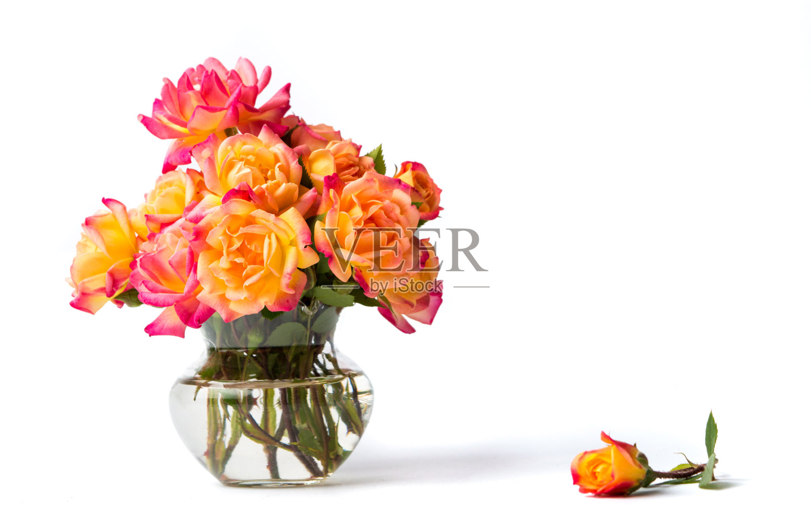 玻璃花瓶里的野玫瑰花束照片摄影图片