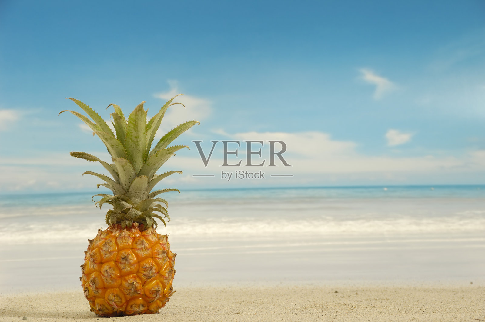 异国海滩上的菠萝照片摄影图片