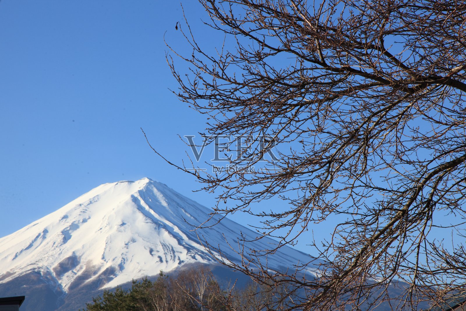 从川口町看富士山照片摄影图片