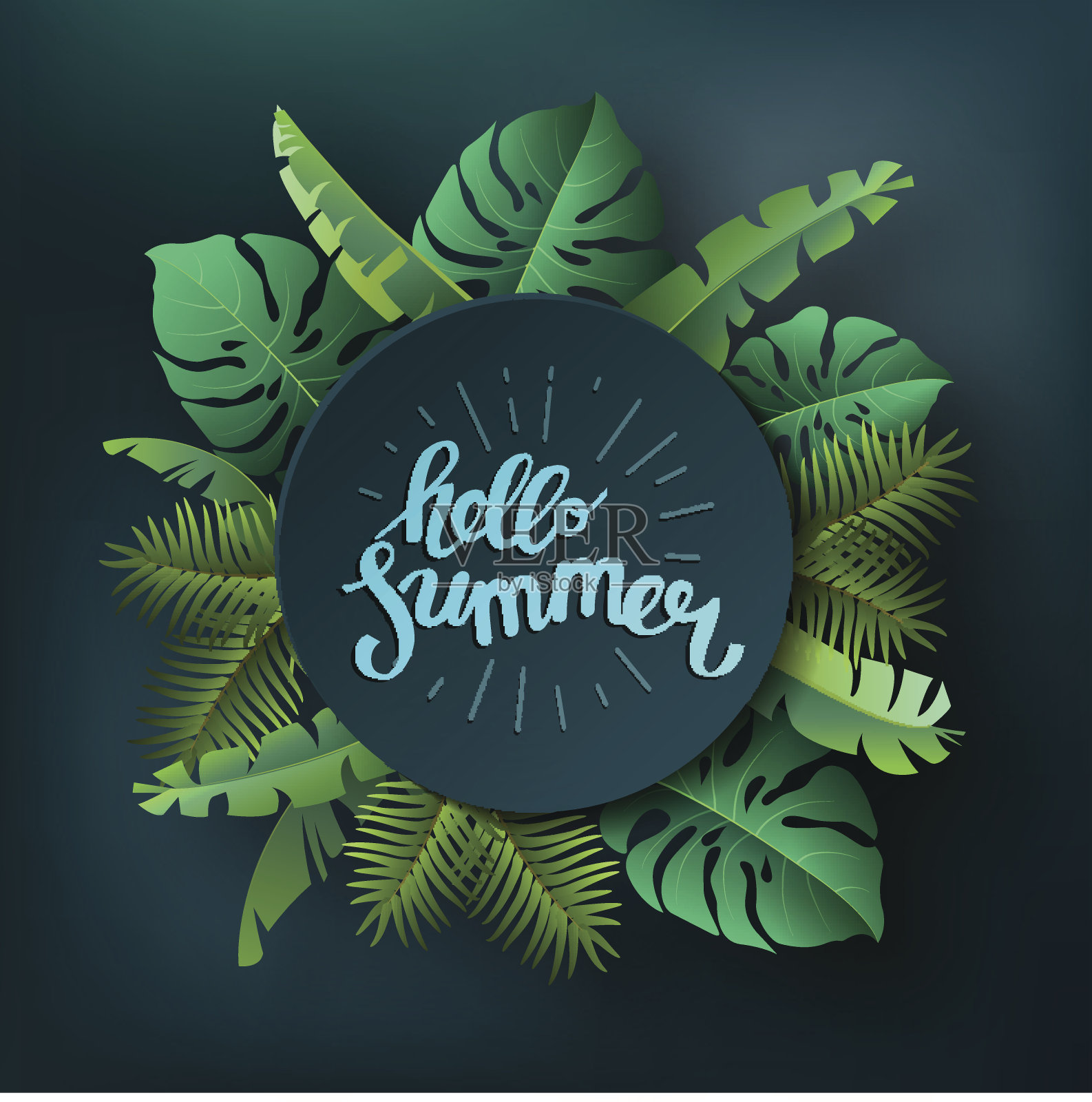 你好,夏天,夏季。以热带植物为背景的文字海报。出售海报和广告招牌。矢量插图。插画图片素材