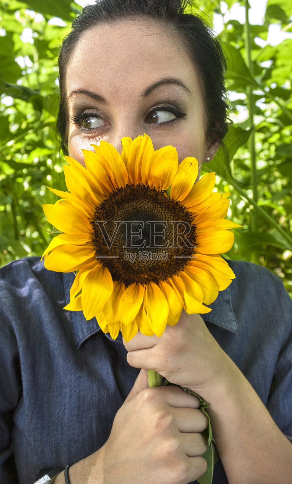 一个女人把向日葵捧在脸上照片摄影图片
