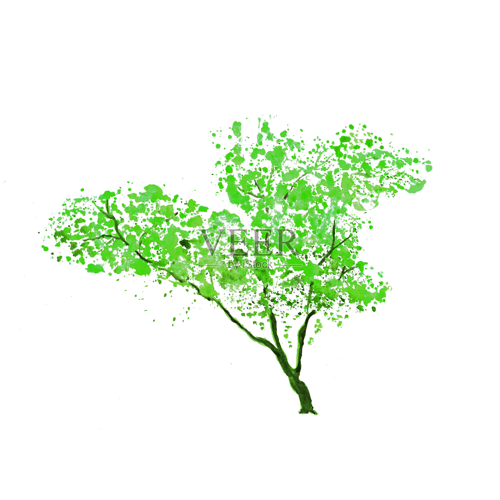 绿树孤立在白色背景上设计元素图片