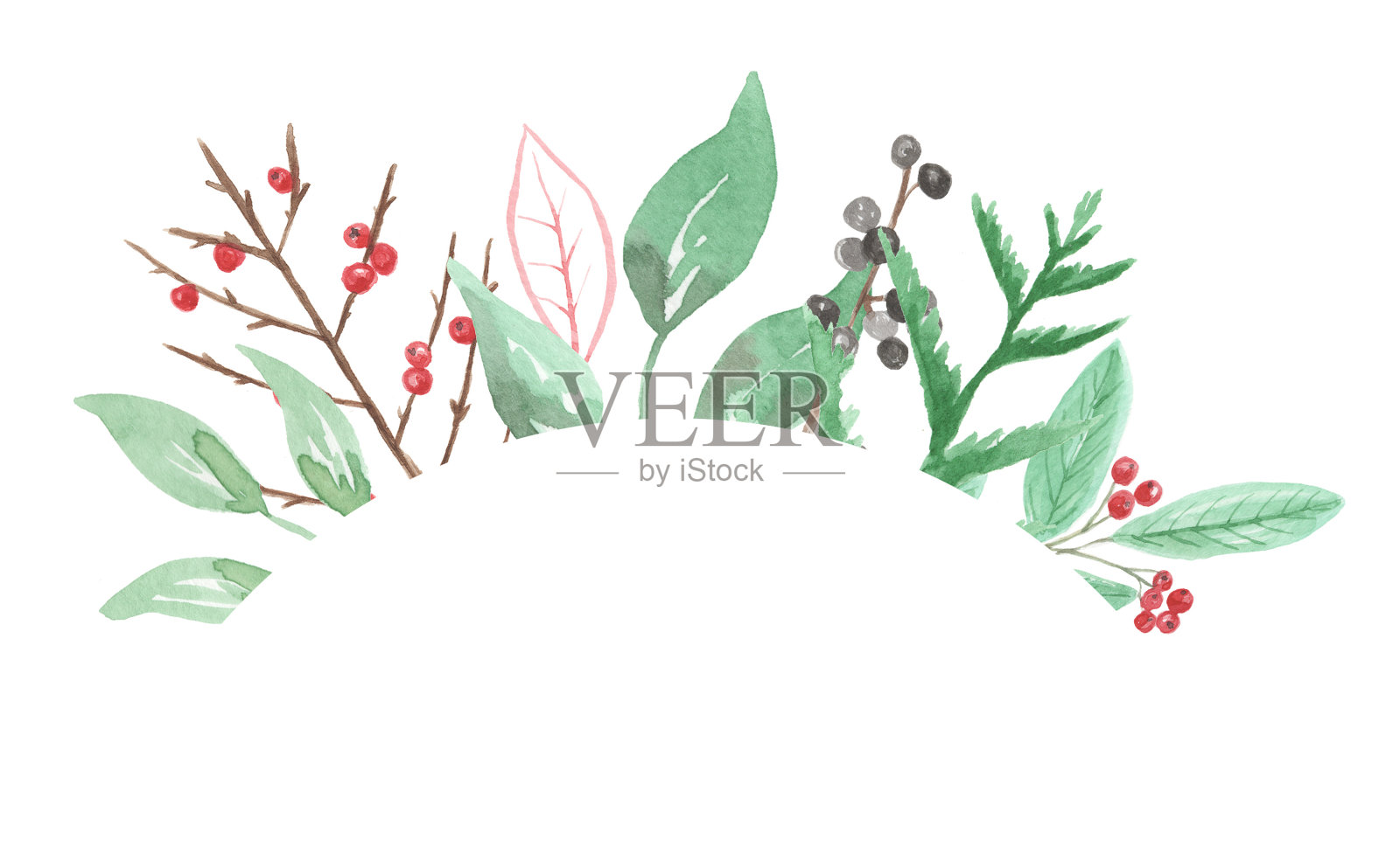 节日冬青浆果框架曲线圣诞树叶水彩画插画图片素材