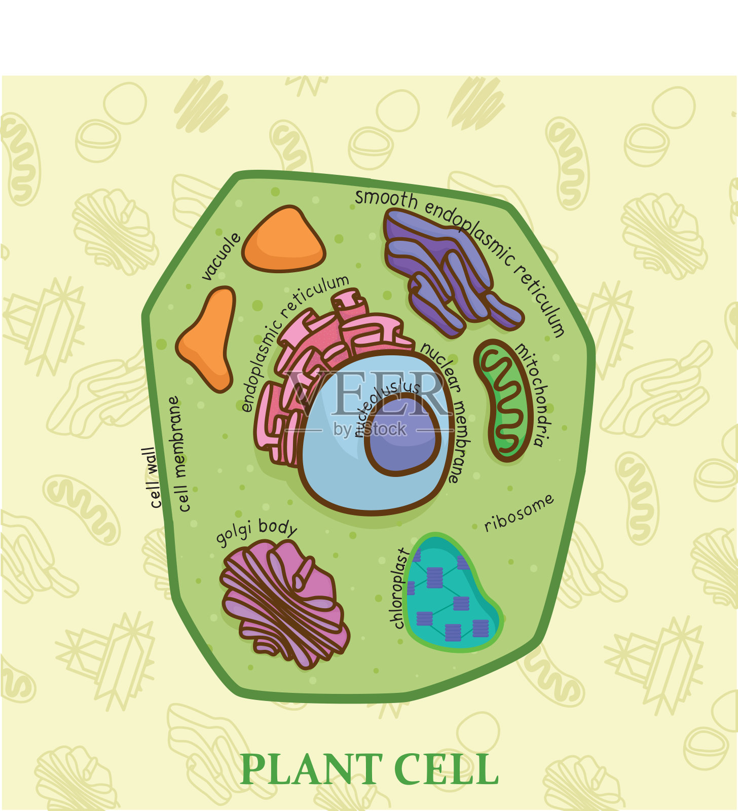植物细胞图生物学教育图插画图片素材