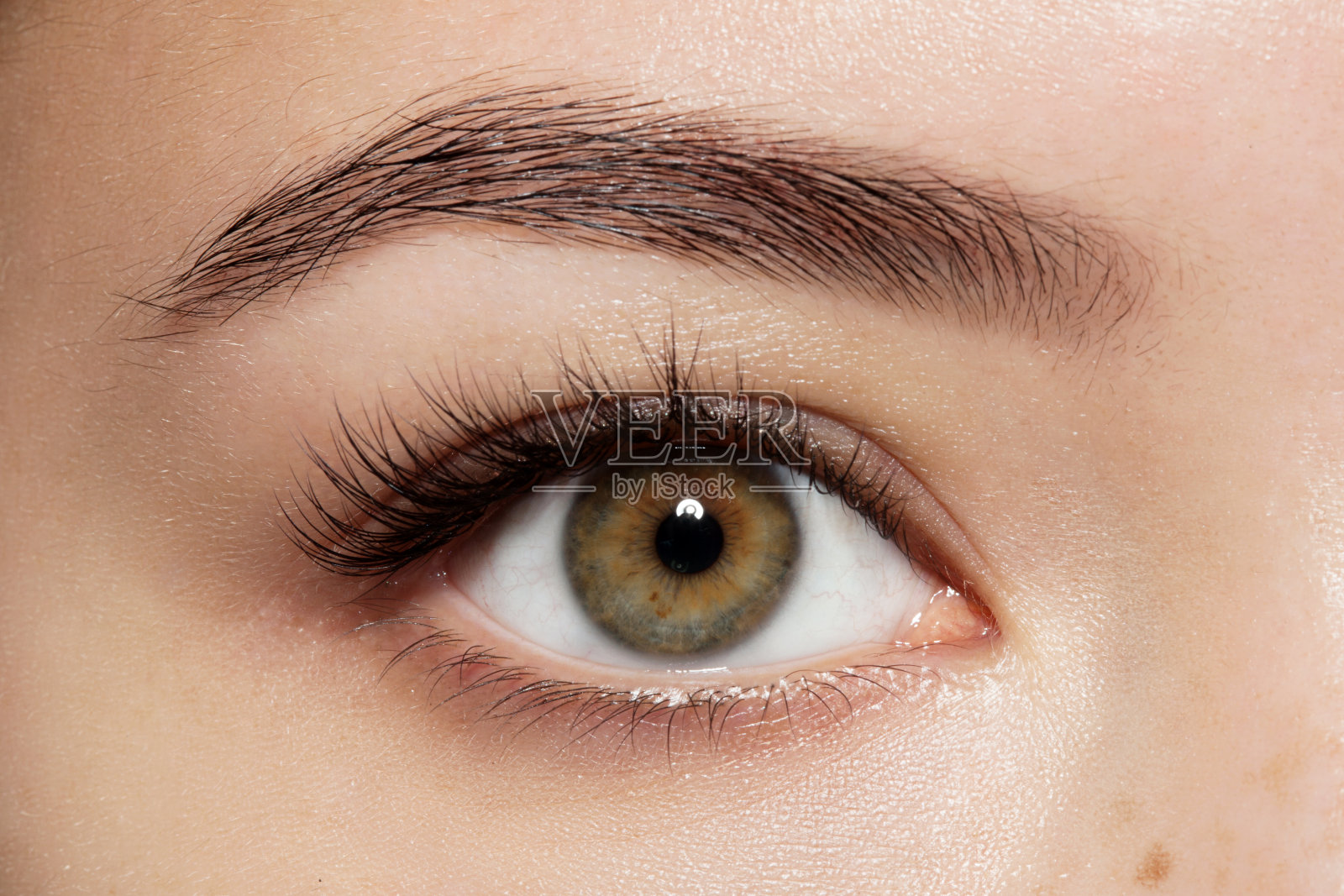 近距离化妆的绿色眼睛与长睫毛和棕色眉毛照片摄影图片