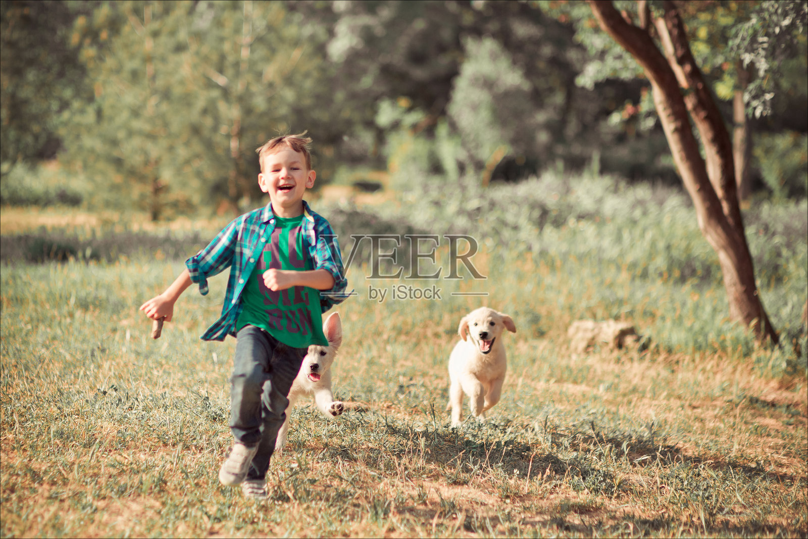 可爱英俊的男孩少年与令人惊叹的白粉色拉布拉多寻回小狗玩户外享受夏天晴天假期周末充满幸福。快乐微笑的孩子和最好的朋友照片摄影图片