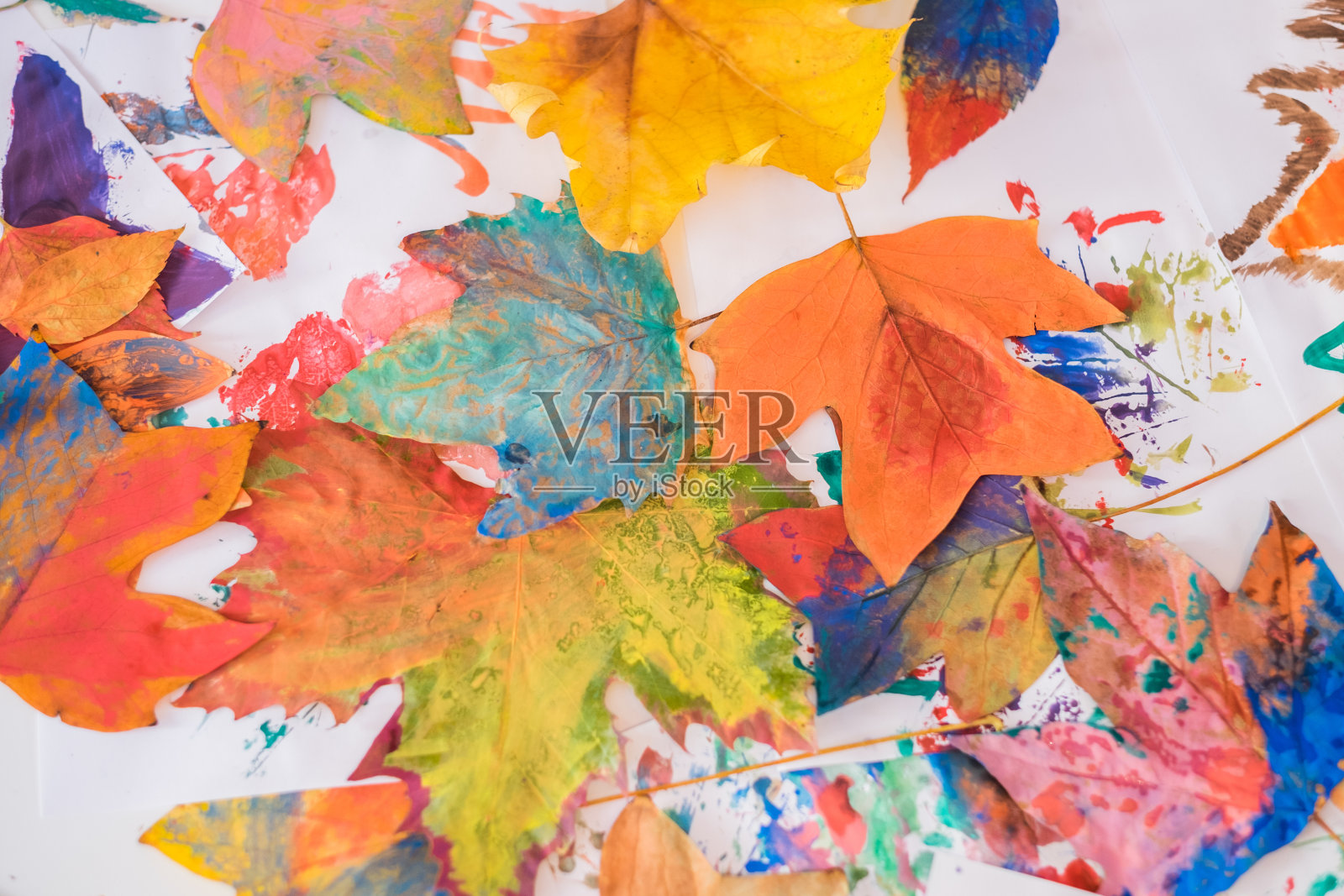 彩色的秋天照片摄影图片