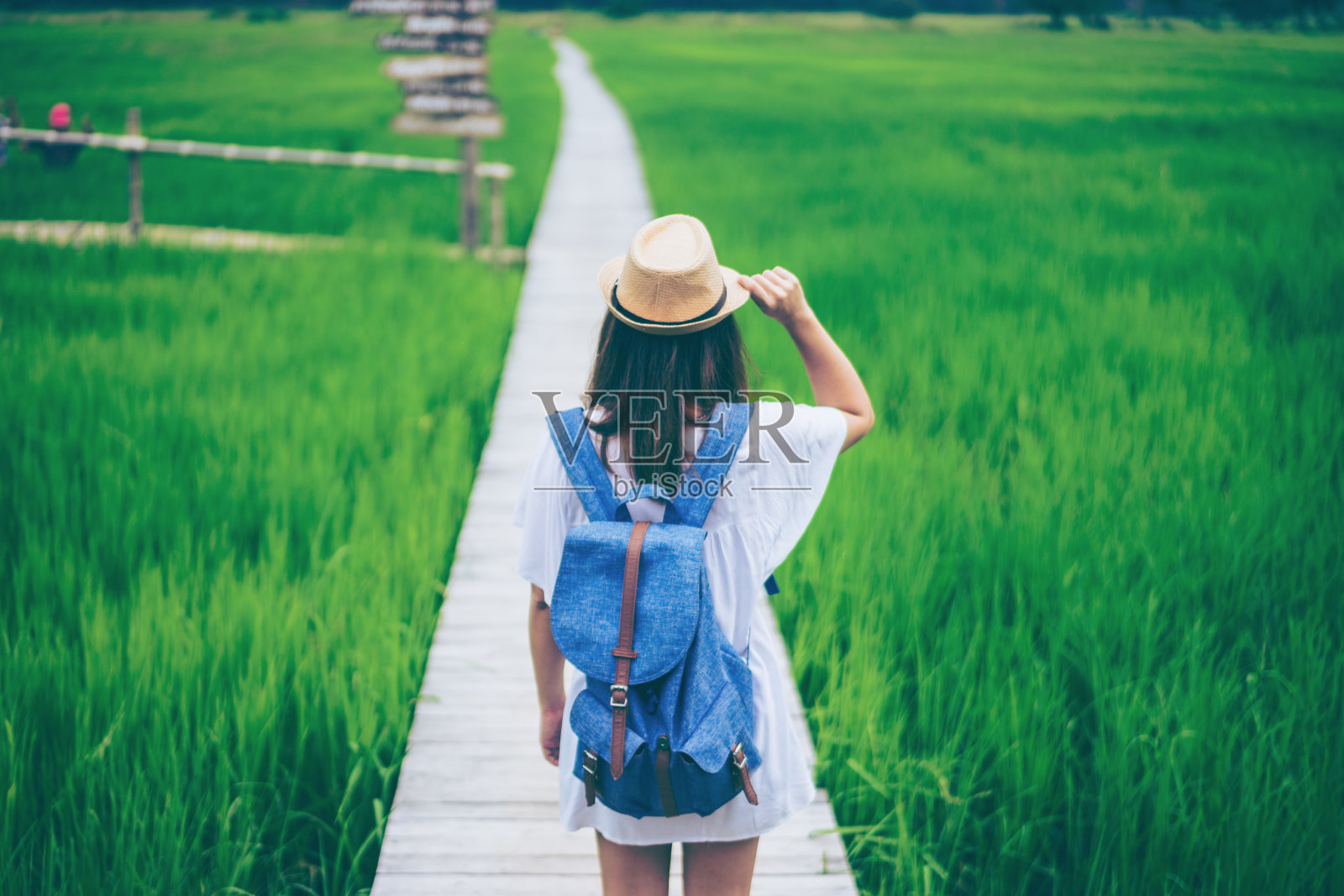 年轻女子与背包客和帽子站在老白色木桥在稻田。照片摄影图片