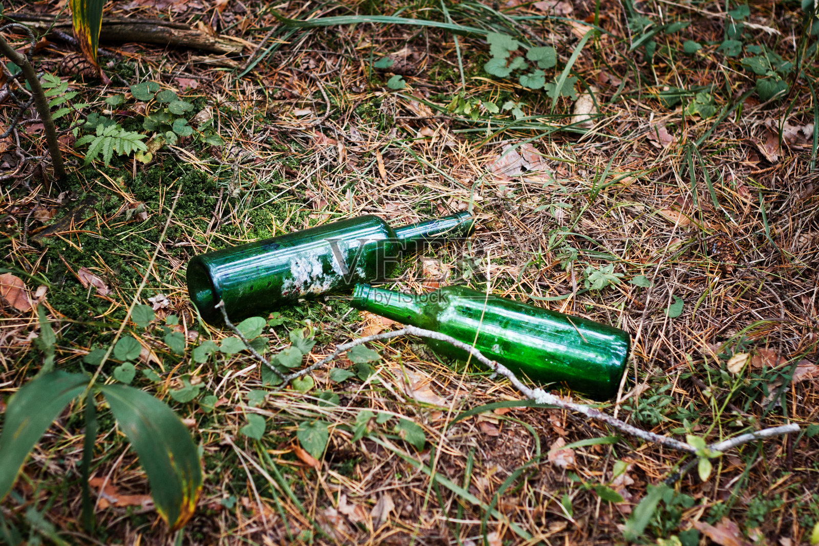 2、绿色玻璃瓶，森林垃圾，生态差照片摄影图片