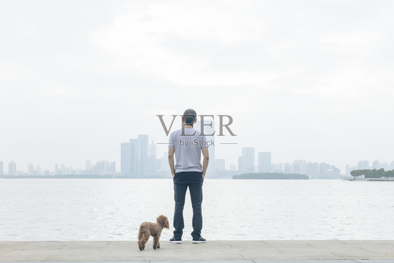一个沉思的男人看金鸡湖风景的后视图照片摄影图片