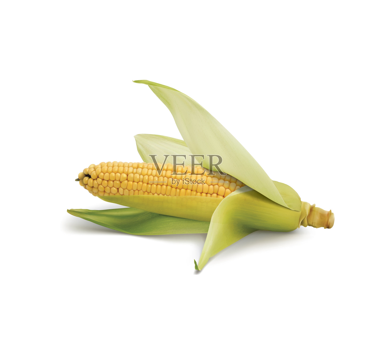玉米设计元素图片