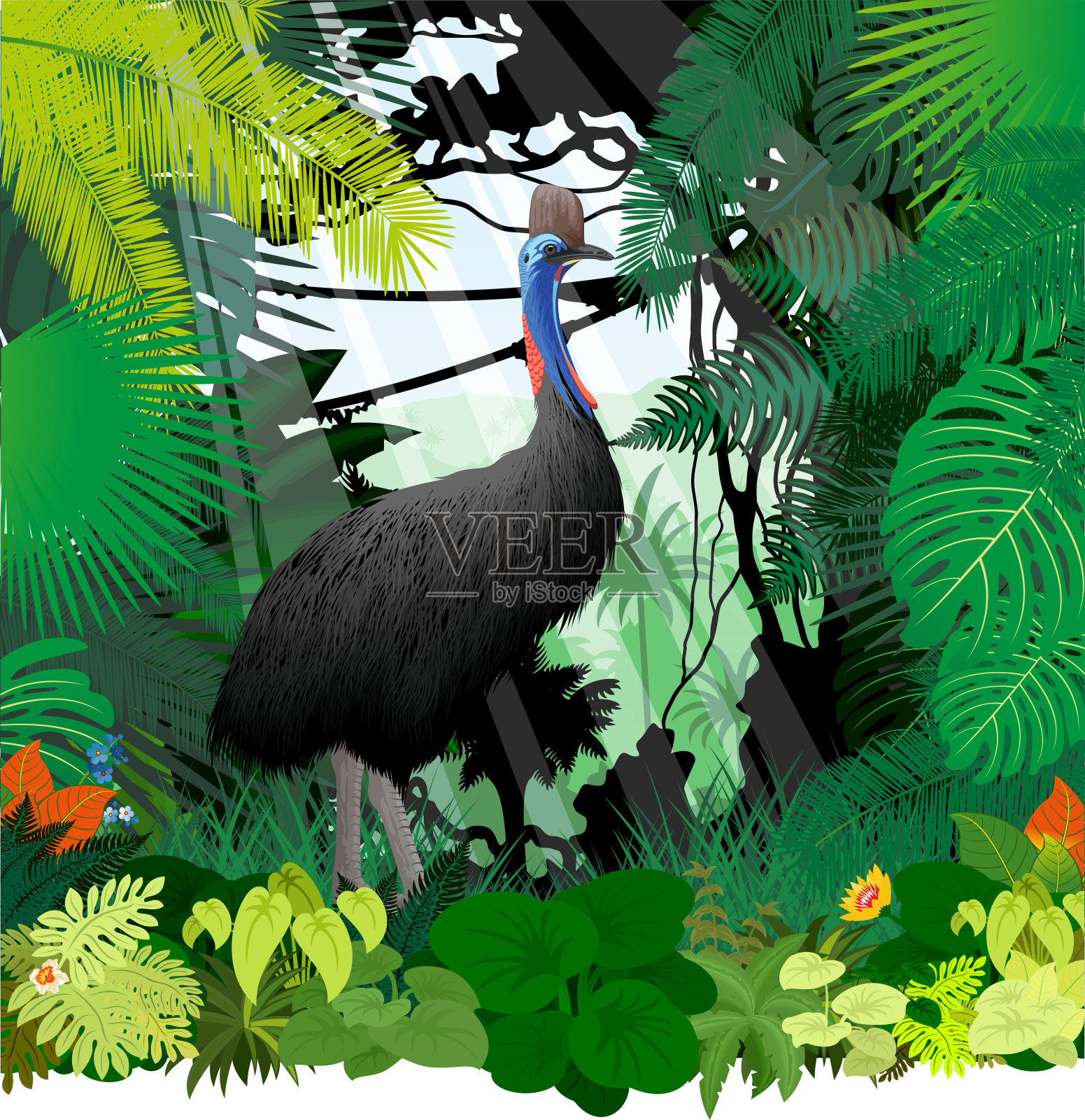 带菌者食火鸡在丛林雨林插画图片素材