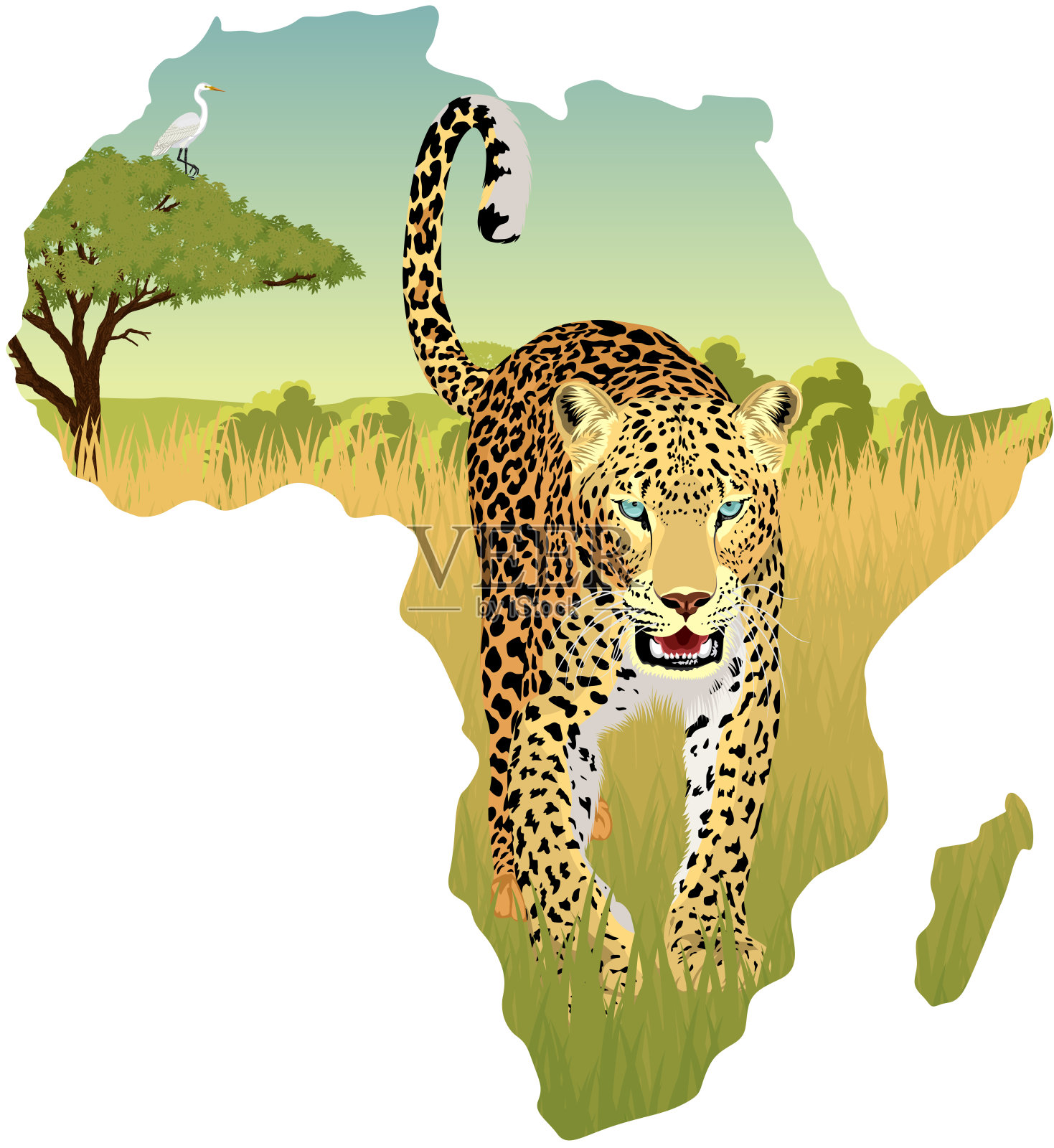 非洲大草原苍鹭和豹矢量插图插画图片素材