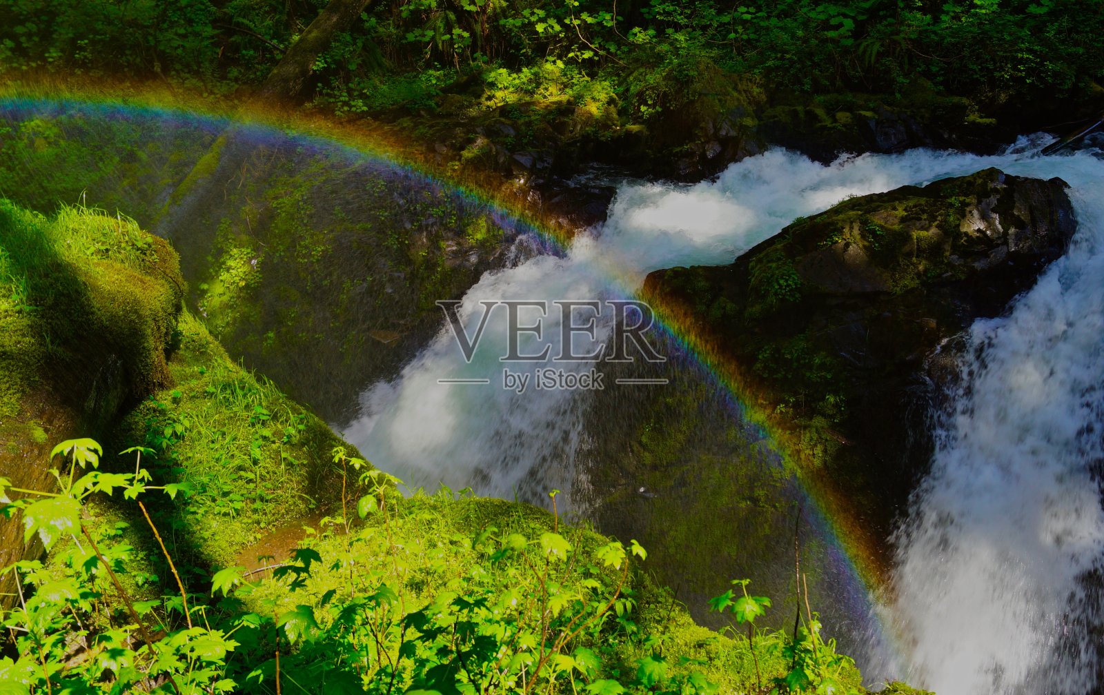 奥运雨林彩虹照片摄影图片