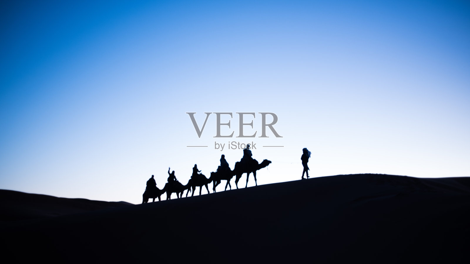 日落时分，摩洛哥东部沙漠中的骆驼观光剪影照片摄影图片